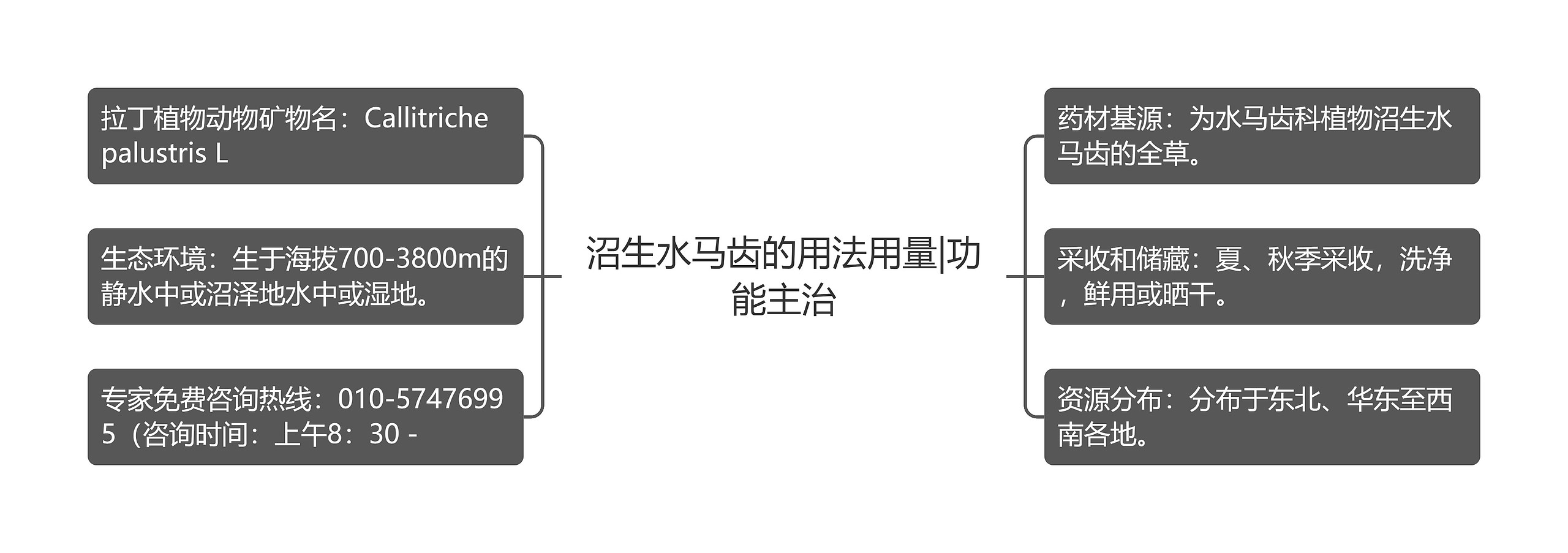 沼生水马齿的用法用量|功能主治思维导图