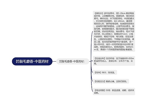 凹裂毛麝香-中医药材