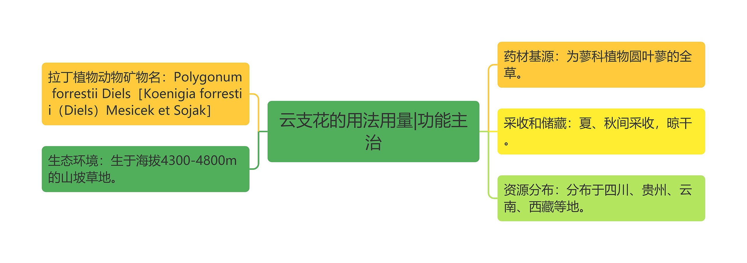 云支花的用法用量|功能主治思维导图