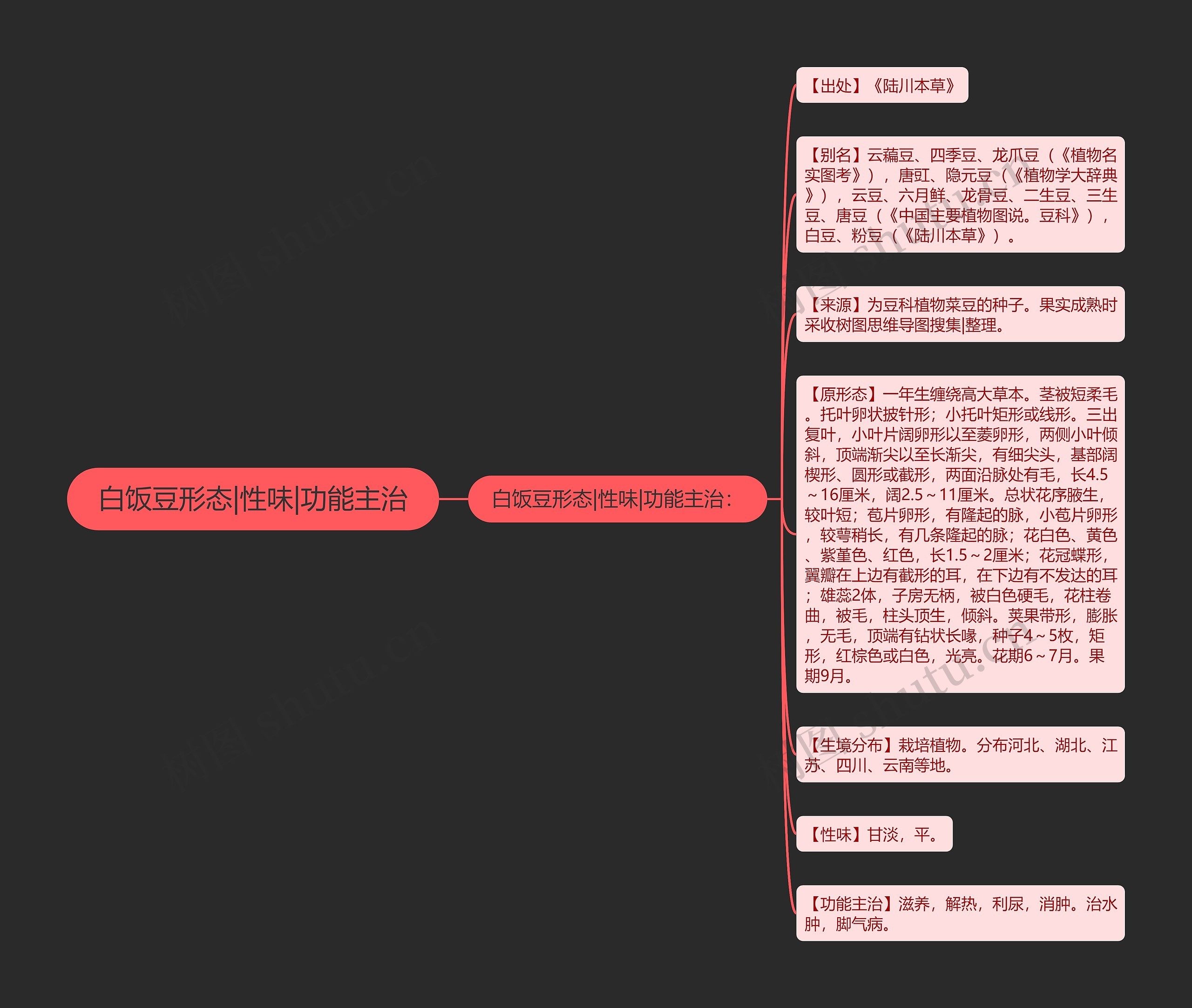 白饭豆形态|性味|功能主治思维导图