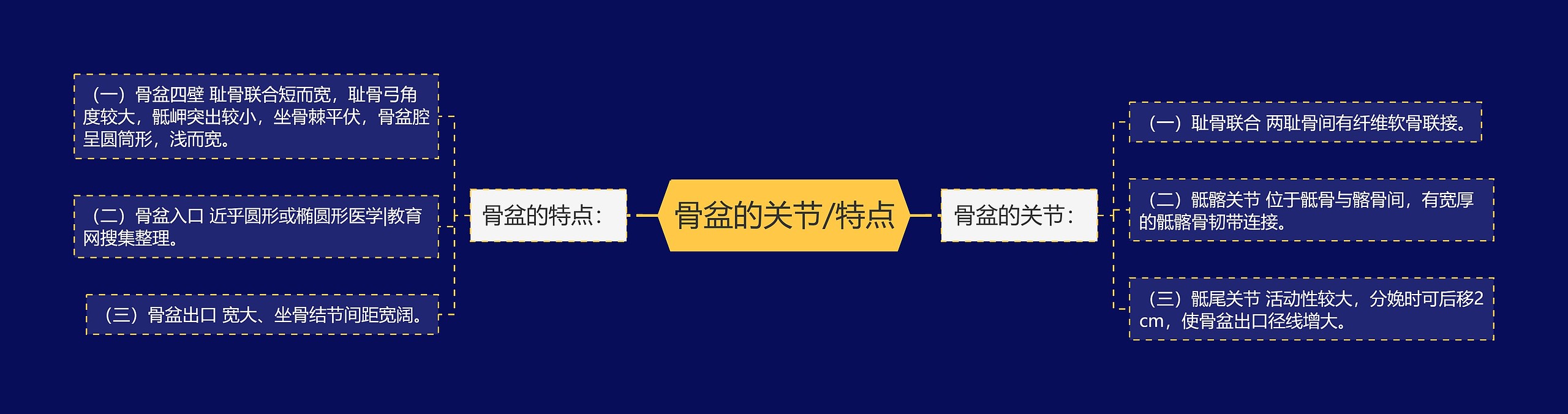 骨盆的关节/特点