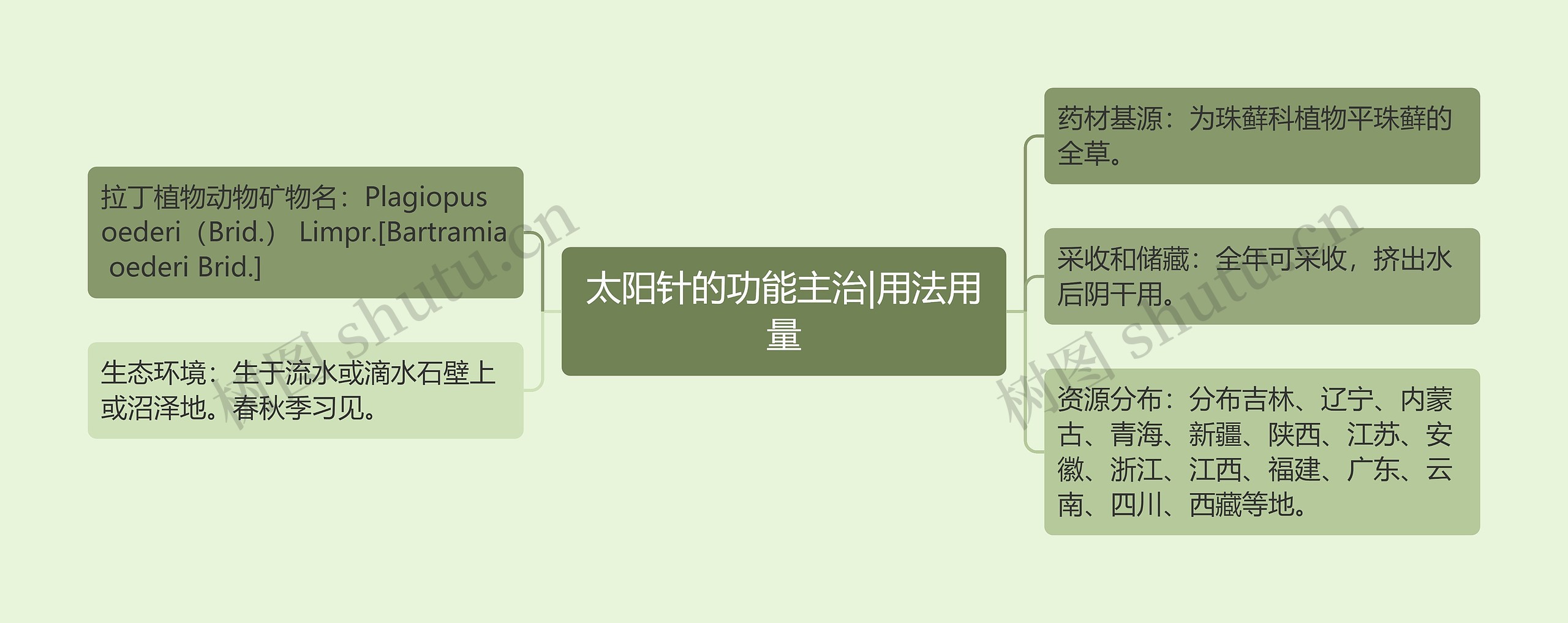 太阳针的功能主治|用法用量思维导图