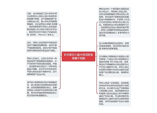 科学家在小鼠中发现新型骨髓干细胞