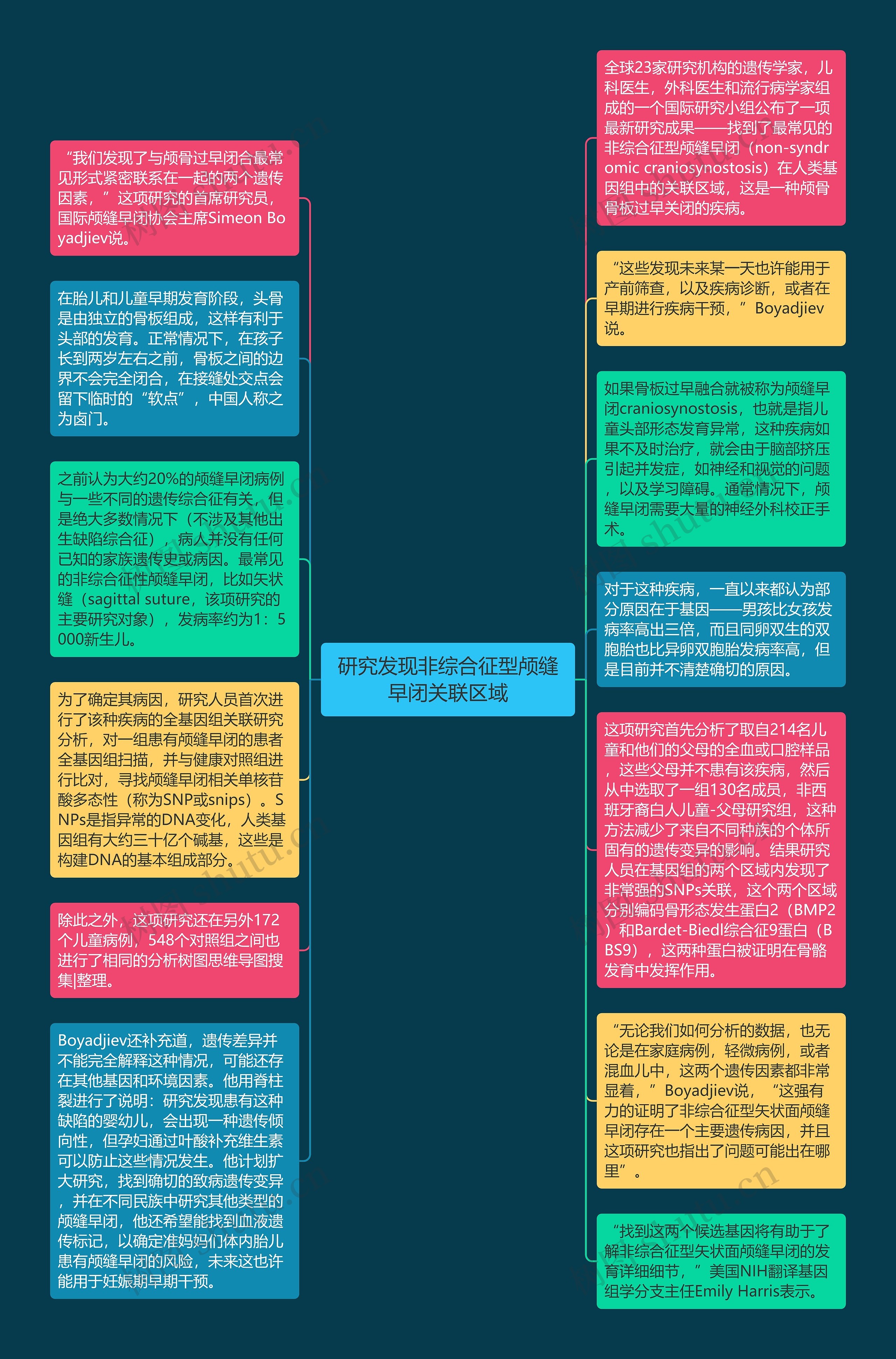 研究发现非综合征型颅缝早闭关联区域思维导图