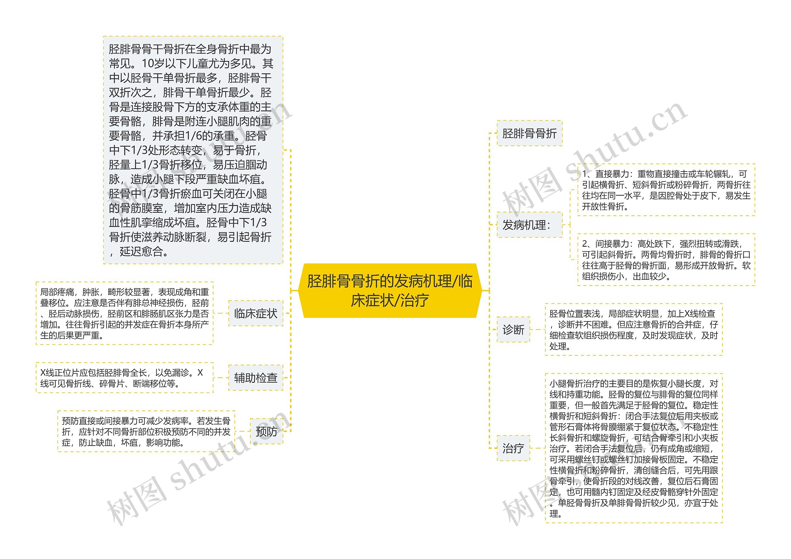 胫腓骨骨折的发病机理/临床症状/治疗思维导图