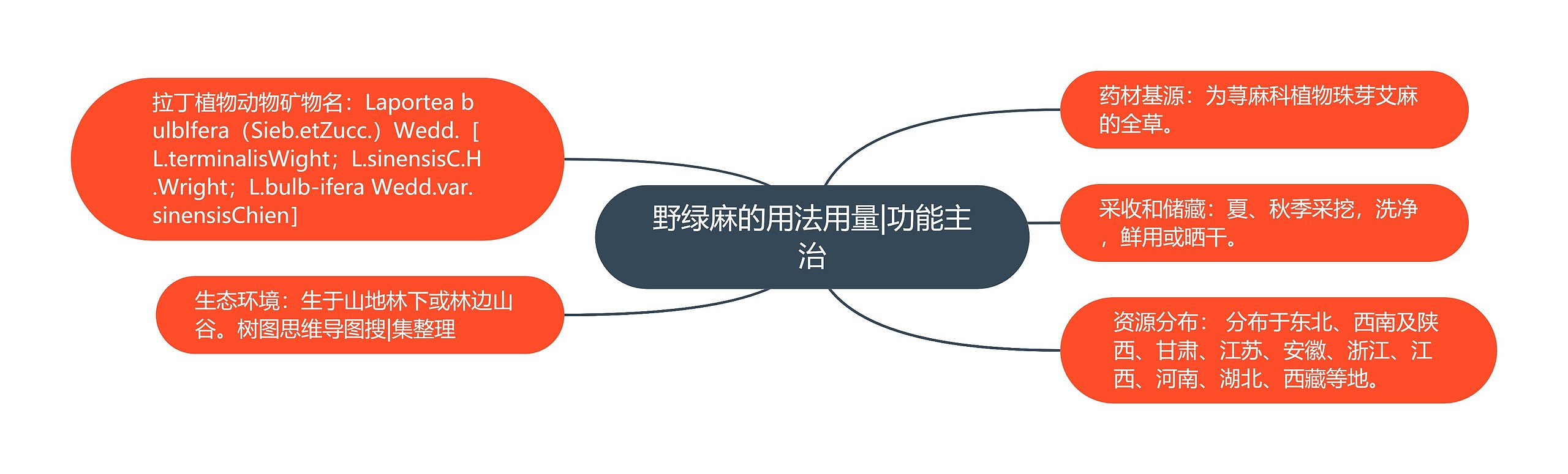 野绿麻的用法用量|功能主治 野绿麻的用法用量|功能主治