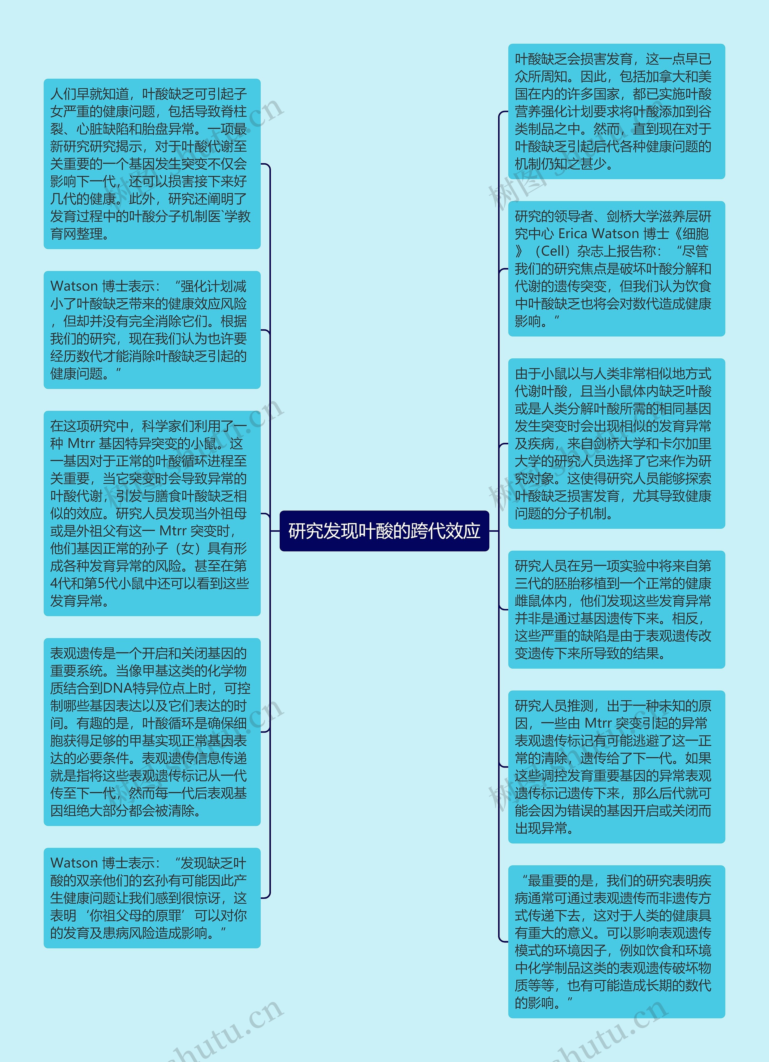 研究发现叶酸的跨代效应思维导图