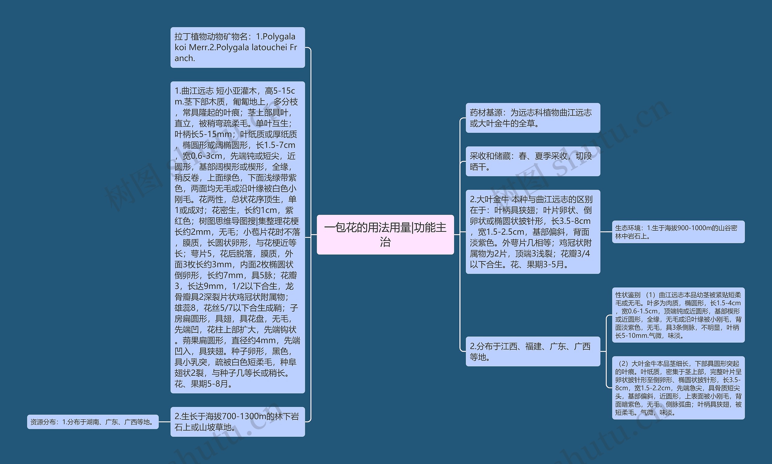 一包花的用法用量|功能主治