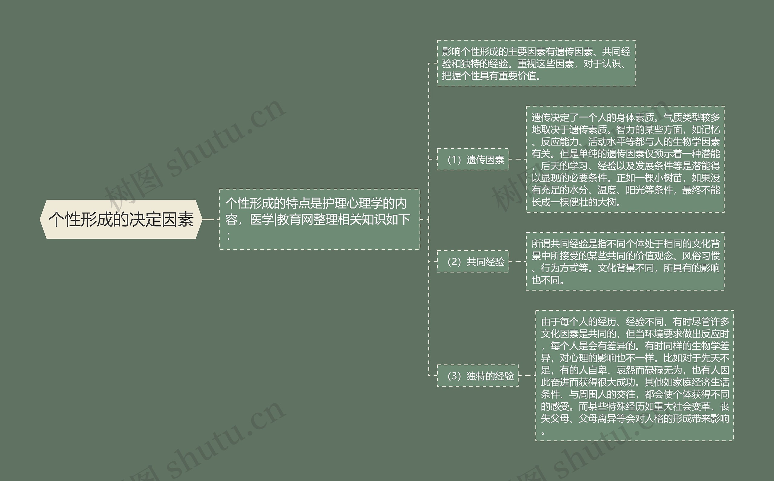 个性形成的决定因素