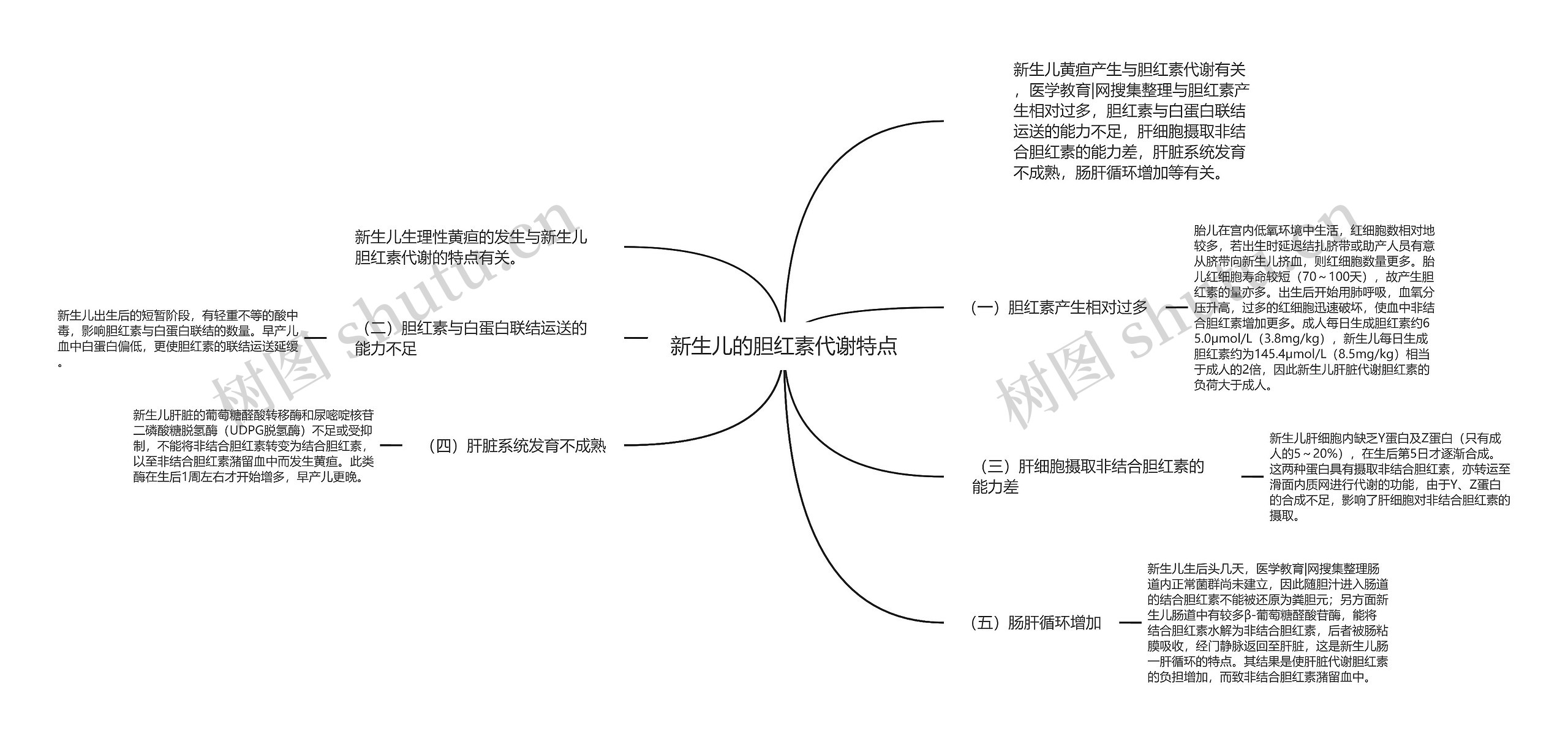 新生儿的胆红素代谢特点