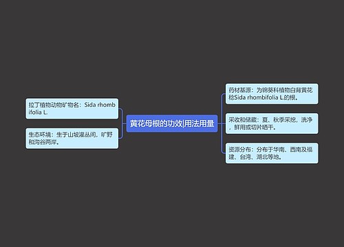 黄花母根的功效|用法用量