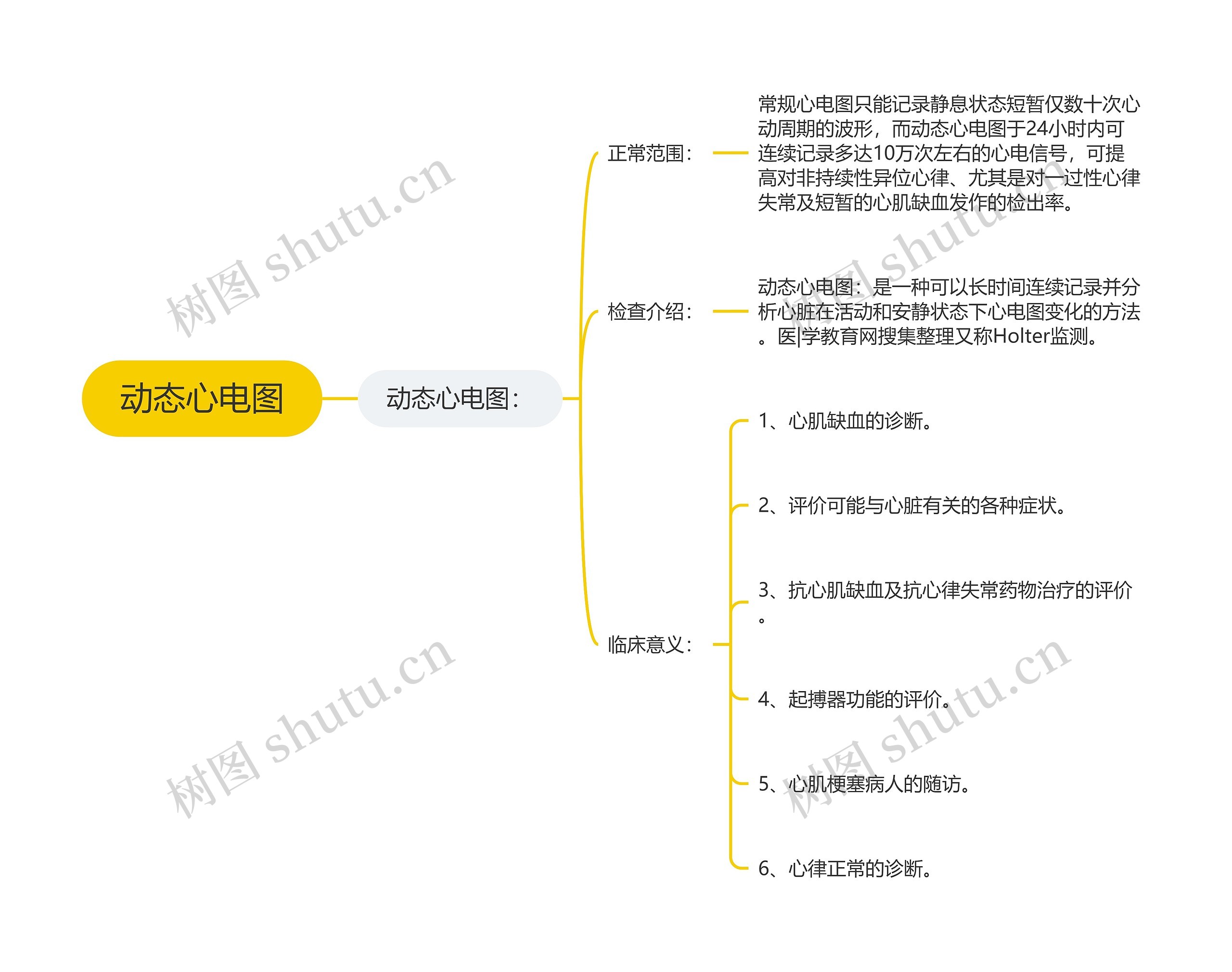 动态心电图