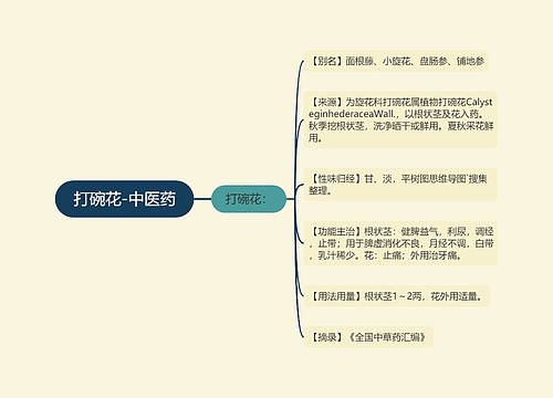 打碗花-中医药