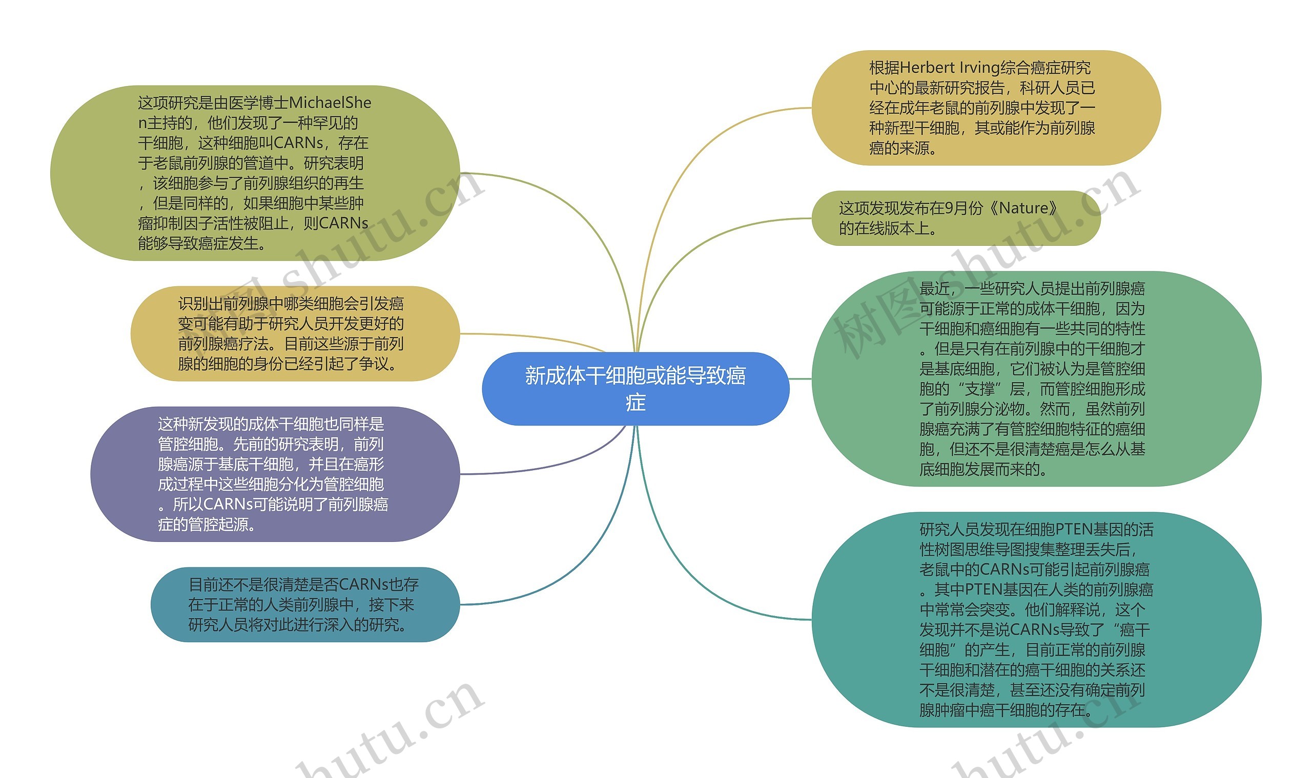 新成体干细胞或能导致癌症思维导图