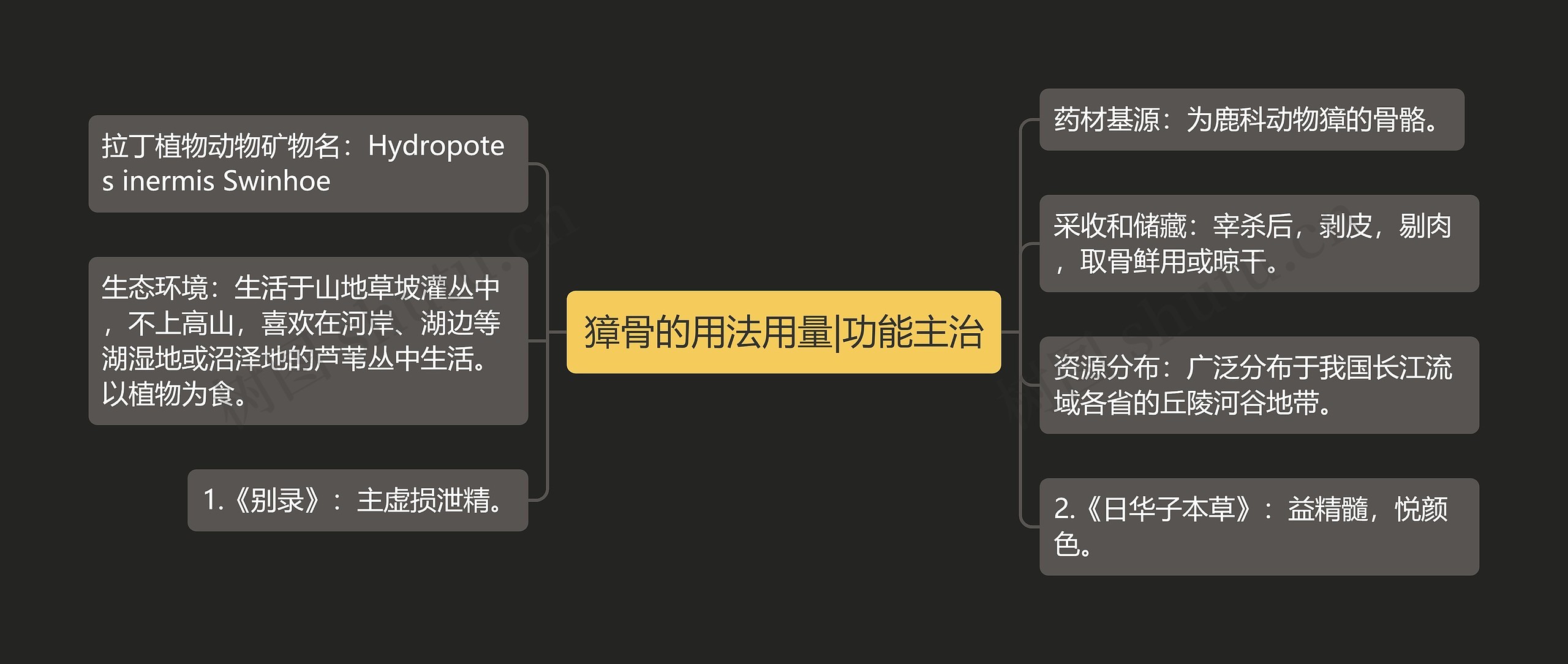 獐骨的用法用量|功能主治