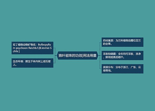 独叶岩珠的功效|用法用量