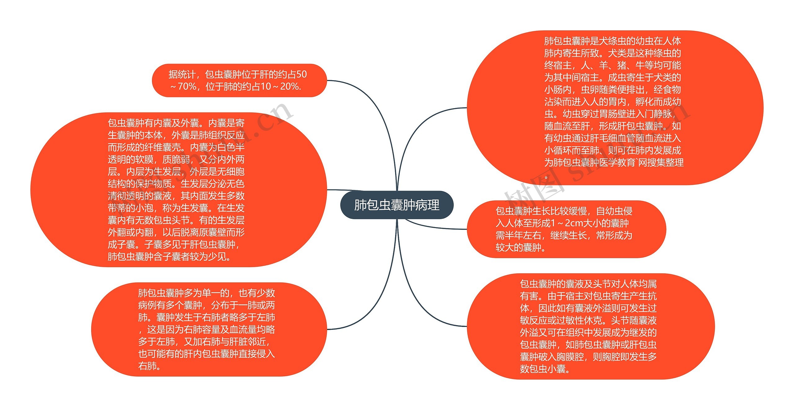 肺包虫囊肿病理思维导图