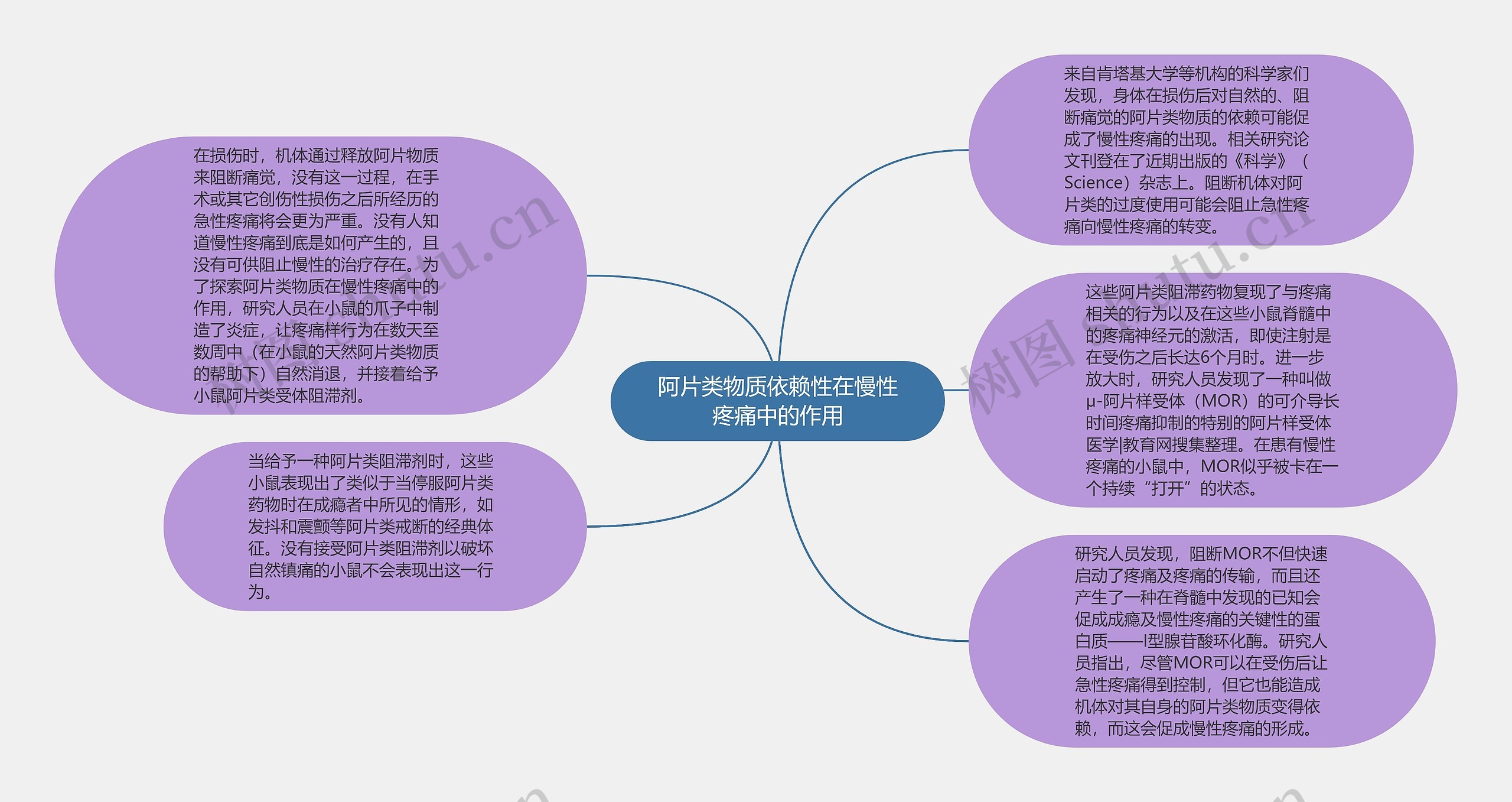 阿片类物质依赖性在慢性疼痛中的作用