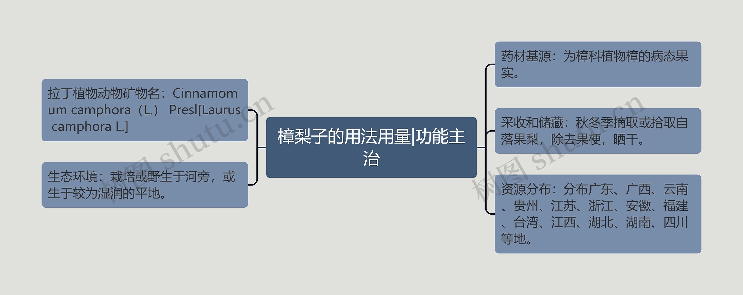 樟梨子的用法用量|功能主治