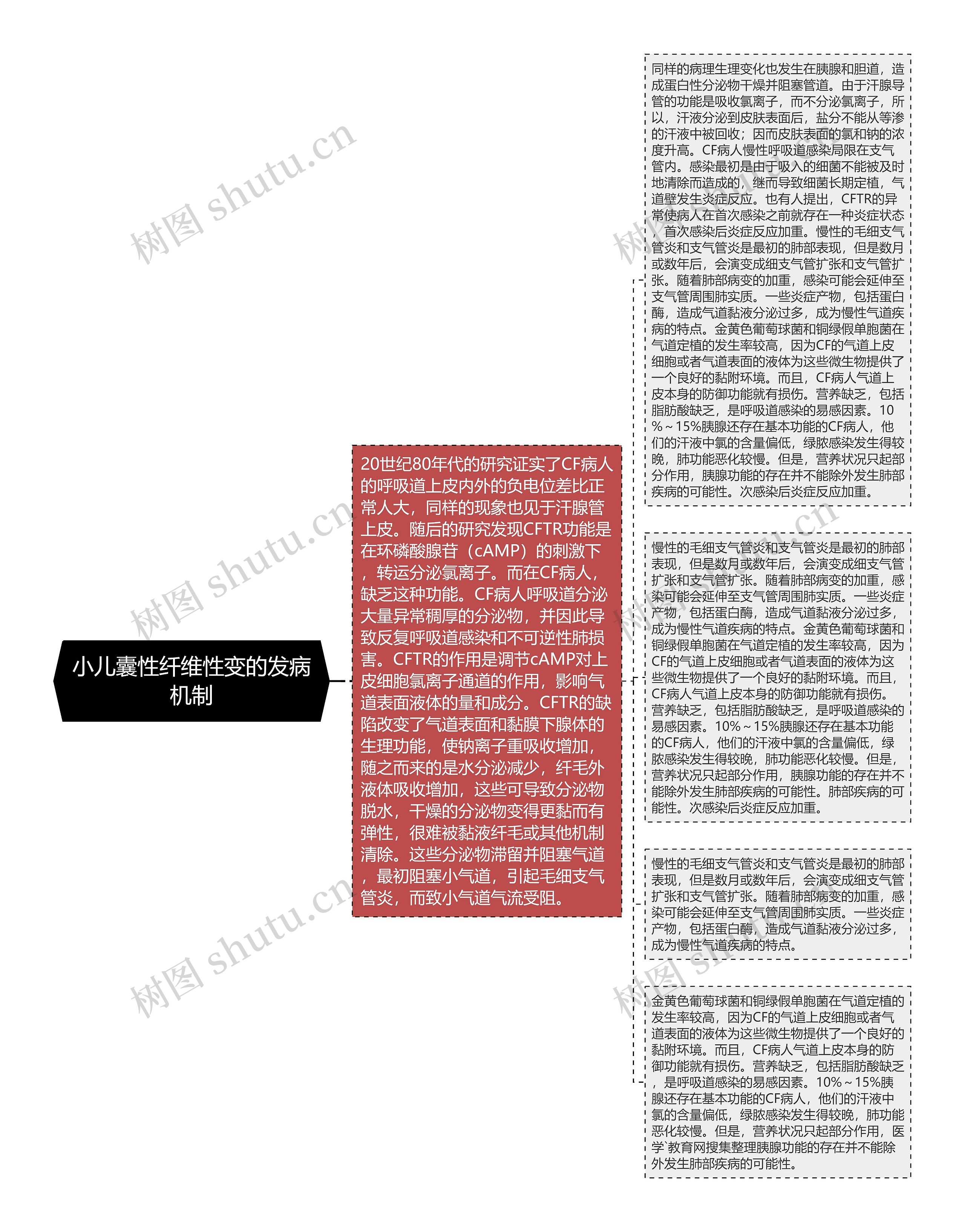 小儿囊性纤维性变的发病机制思维导图