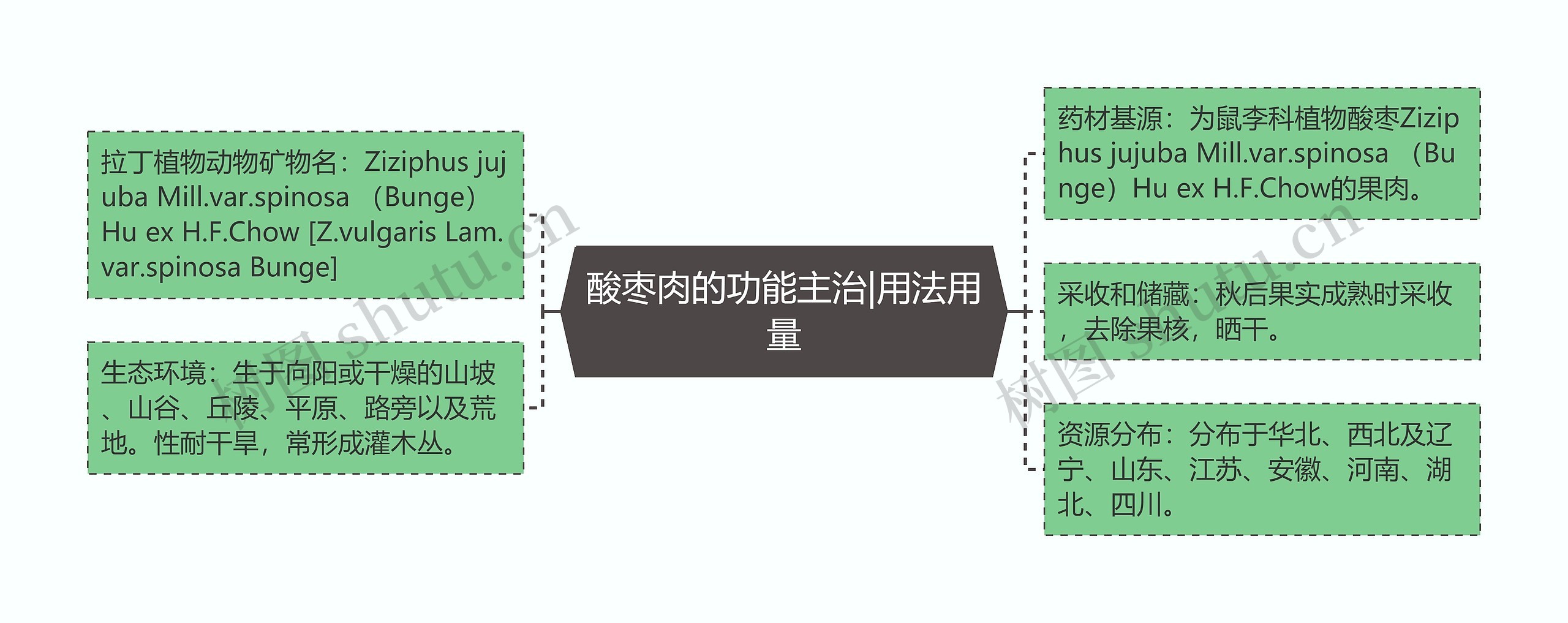 酸枣肉的功能主治|用法用量思维导图