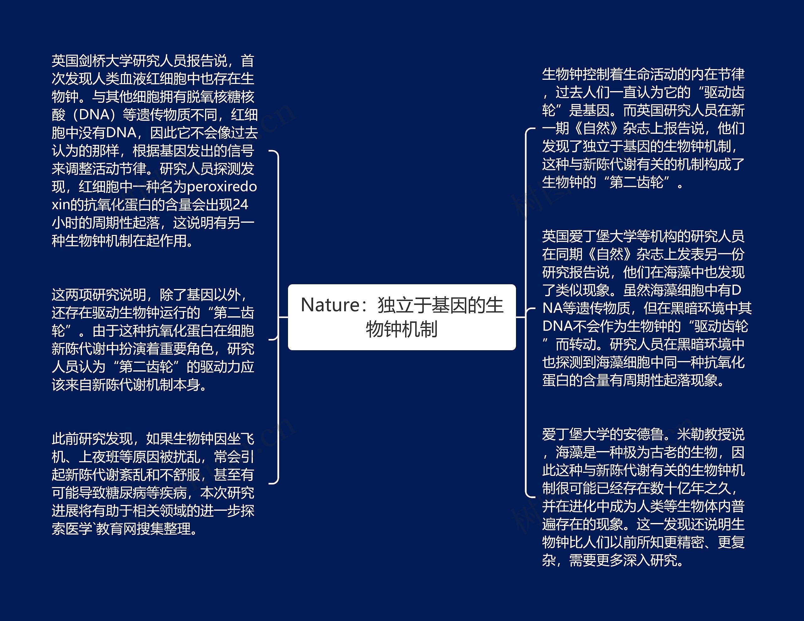 Nature：独立于基因的生物钟机制思维导图