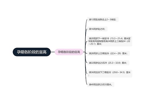 孕期各阶段的宫高