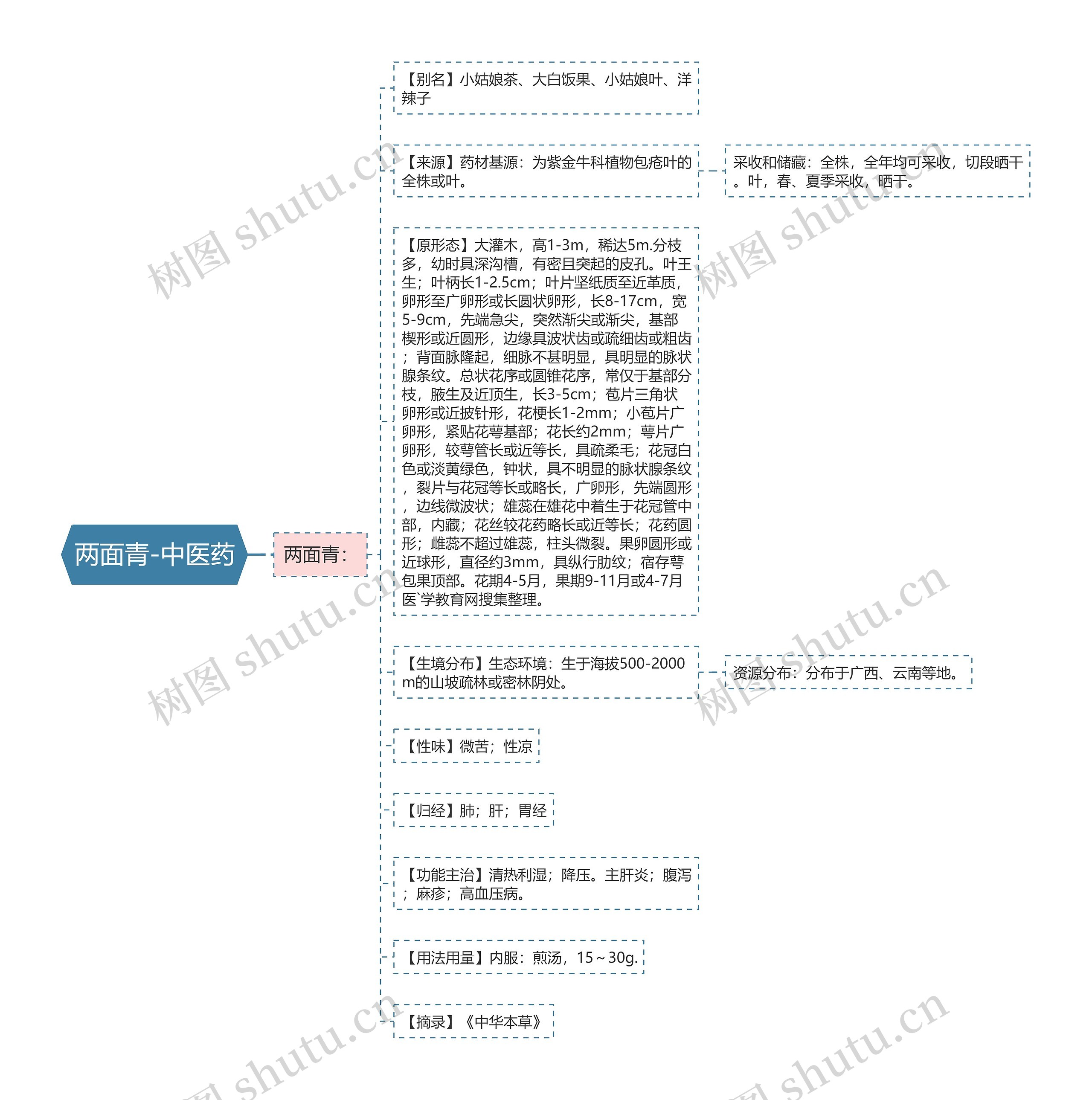 两面青-中医药 两面青-中医药