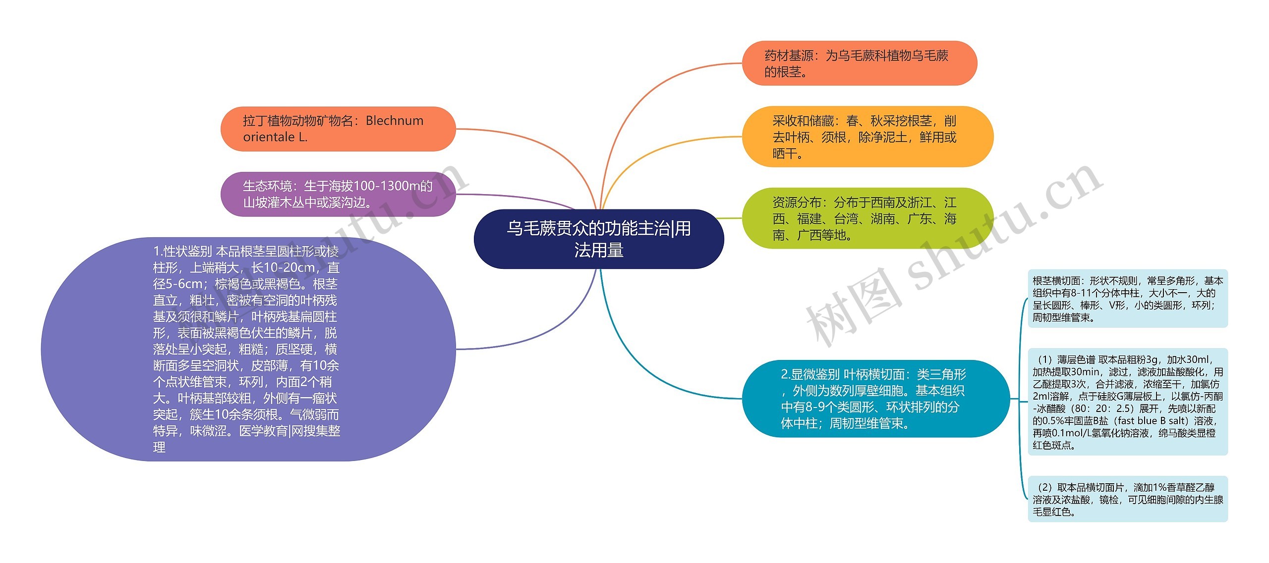 乌毛蕨贯众的功能主治|用法用量