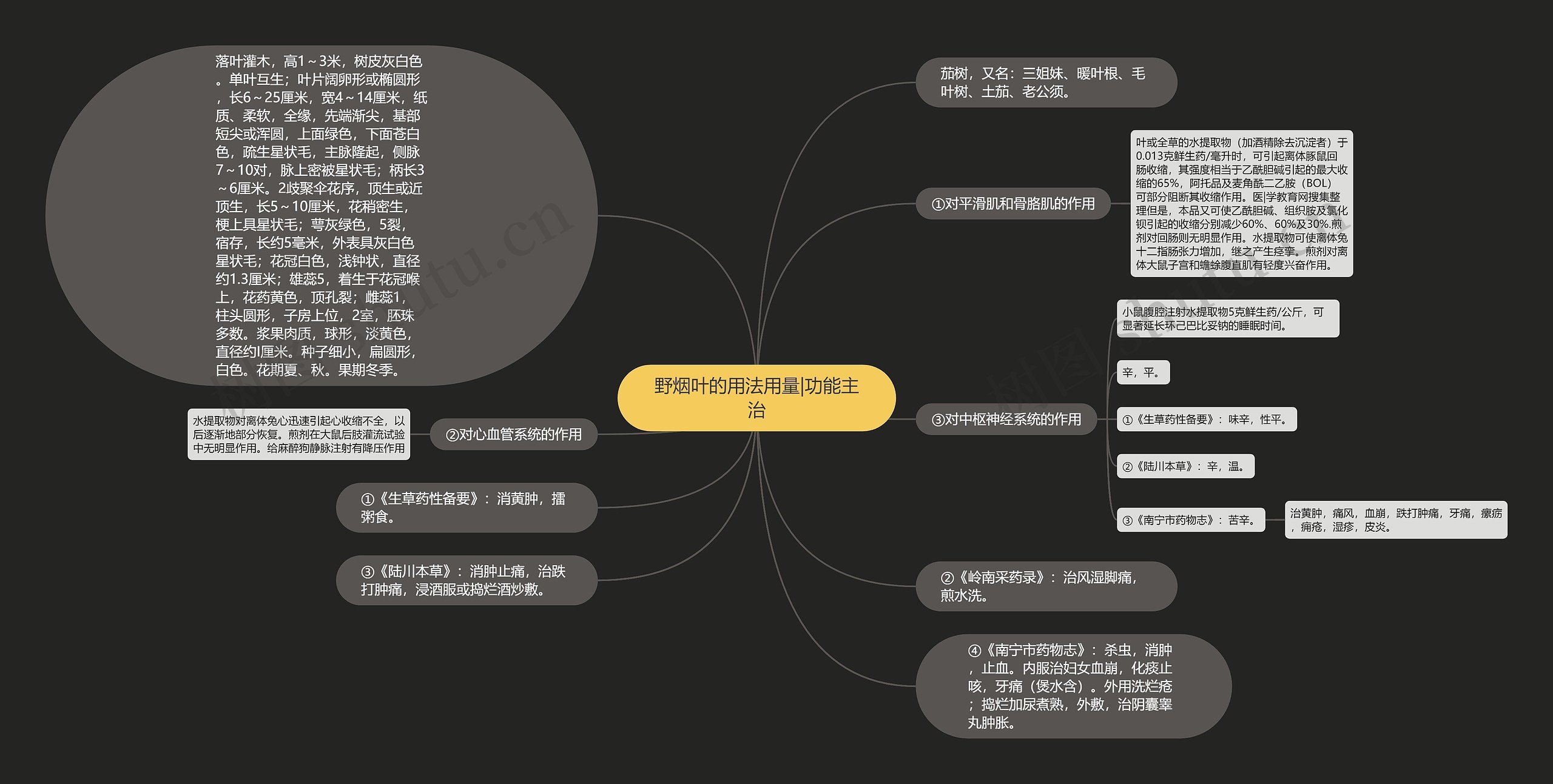 野烟叶的用法用量|功能主治 野烟叶的用法用量|功能主治