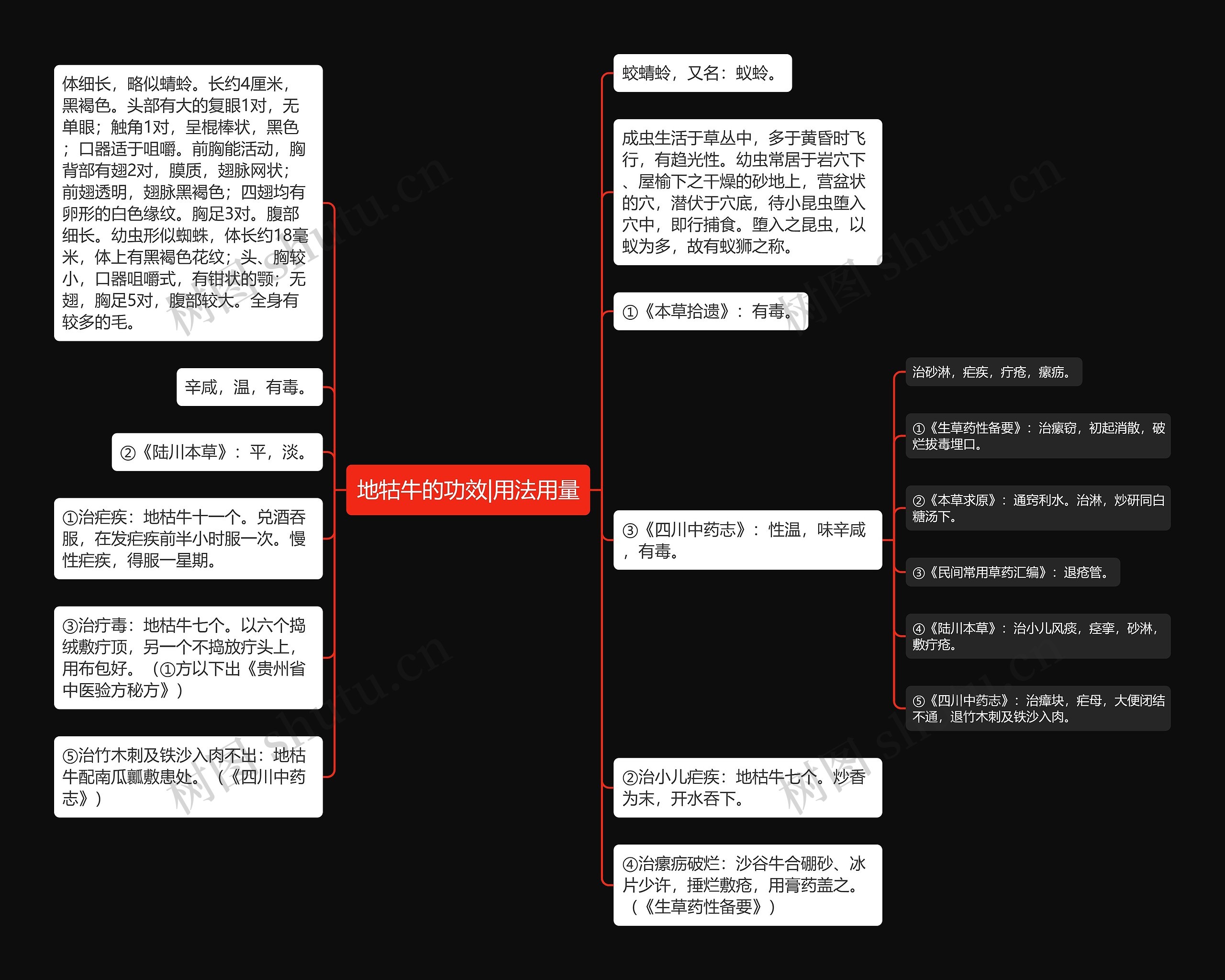 地牯牛的功效|用法用量思维导图