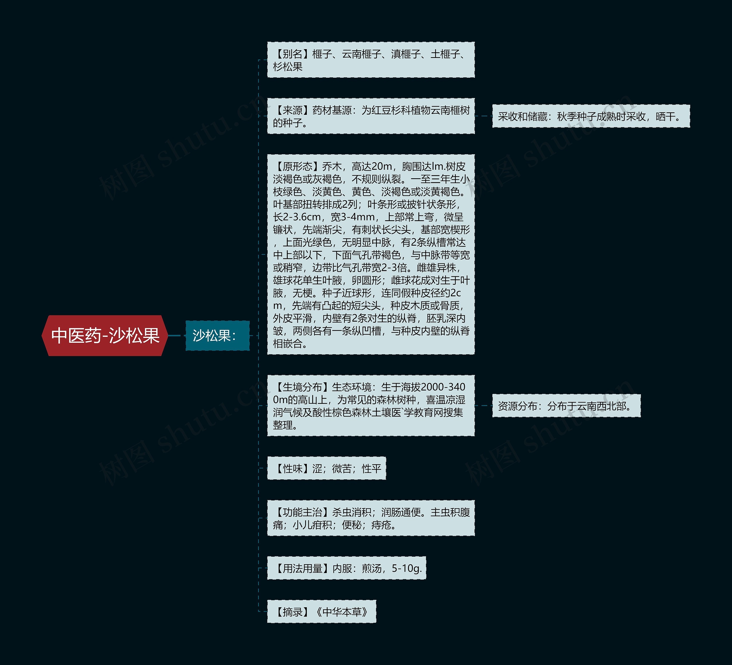 中医药-沙松果 中医药-沙松果