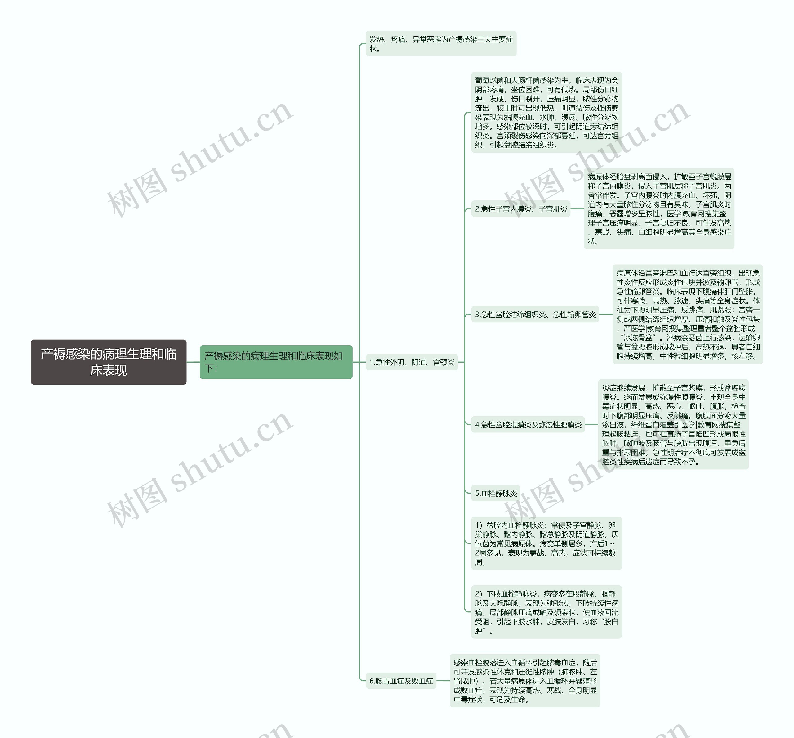 产褥感染的病理生理和临床表现思维导图