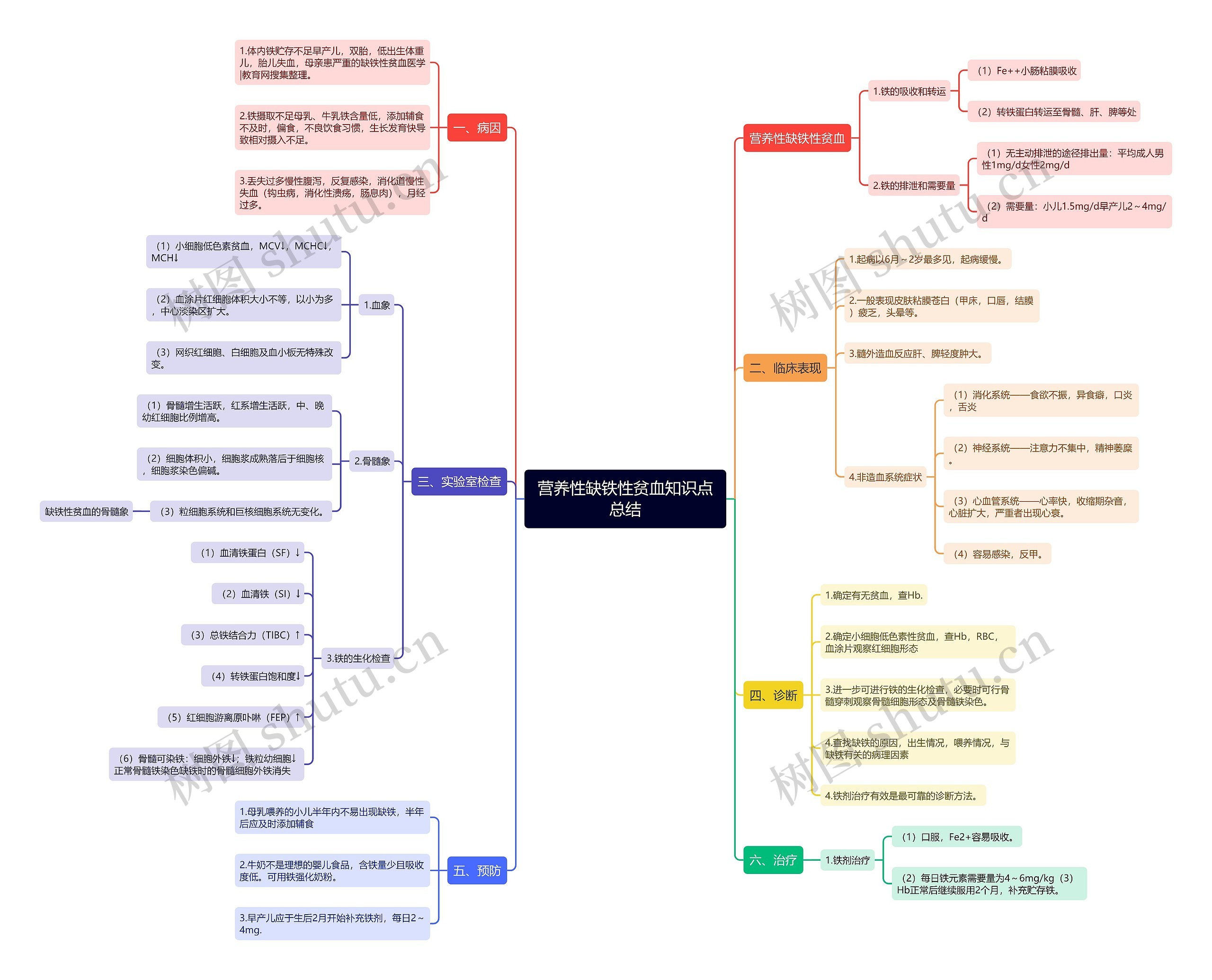 营养性缺铁性贫血知识点总结思维导图