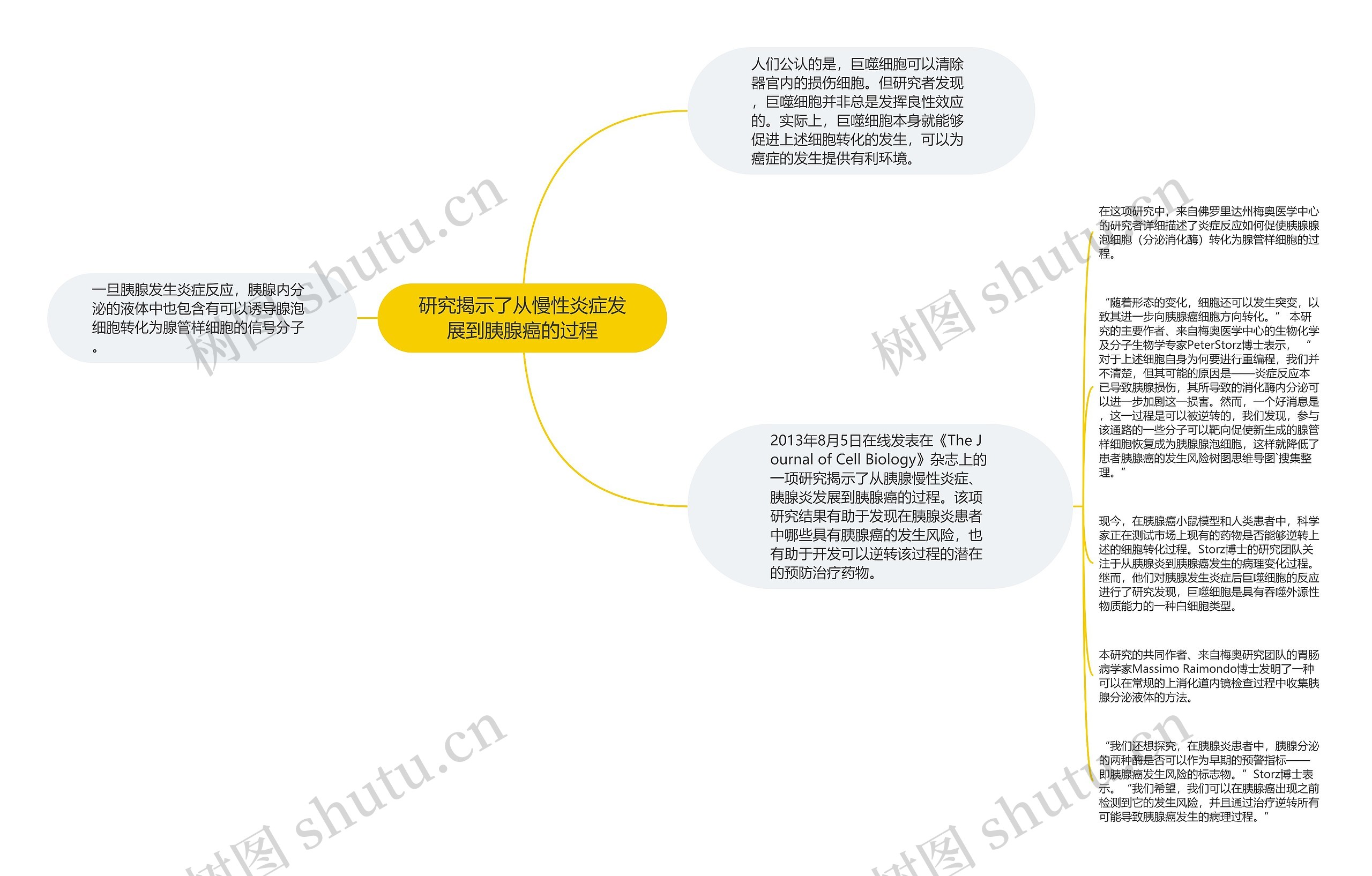 研究揭示了从慢性炎症发展到胰腺癌的过程思维导图