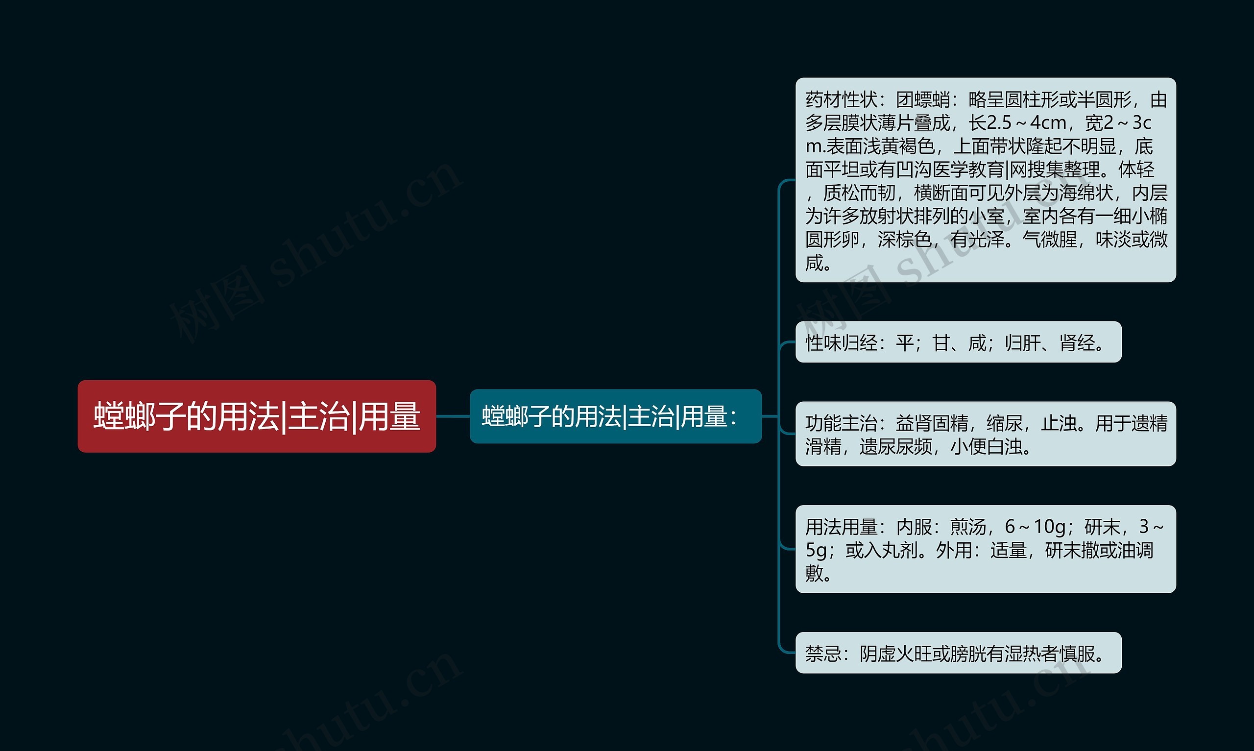 螳螂子的用法|主治|用量思维导图