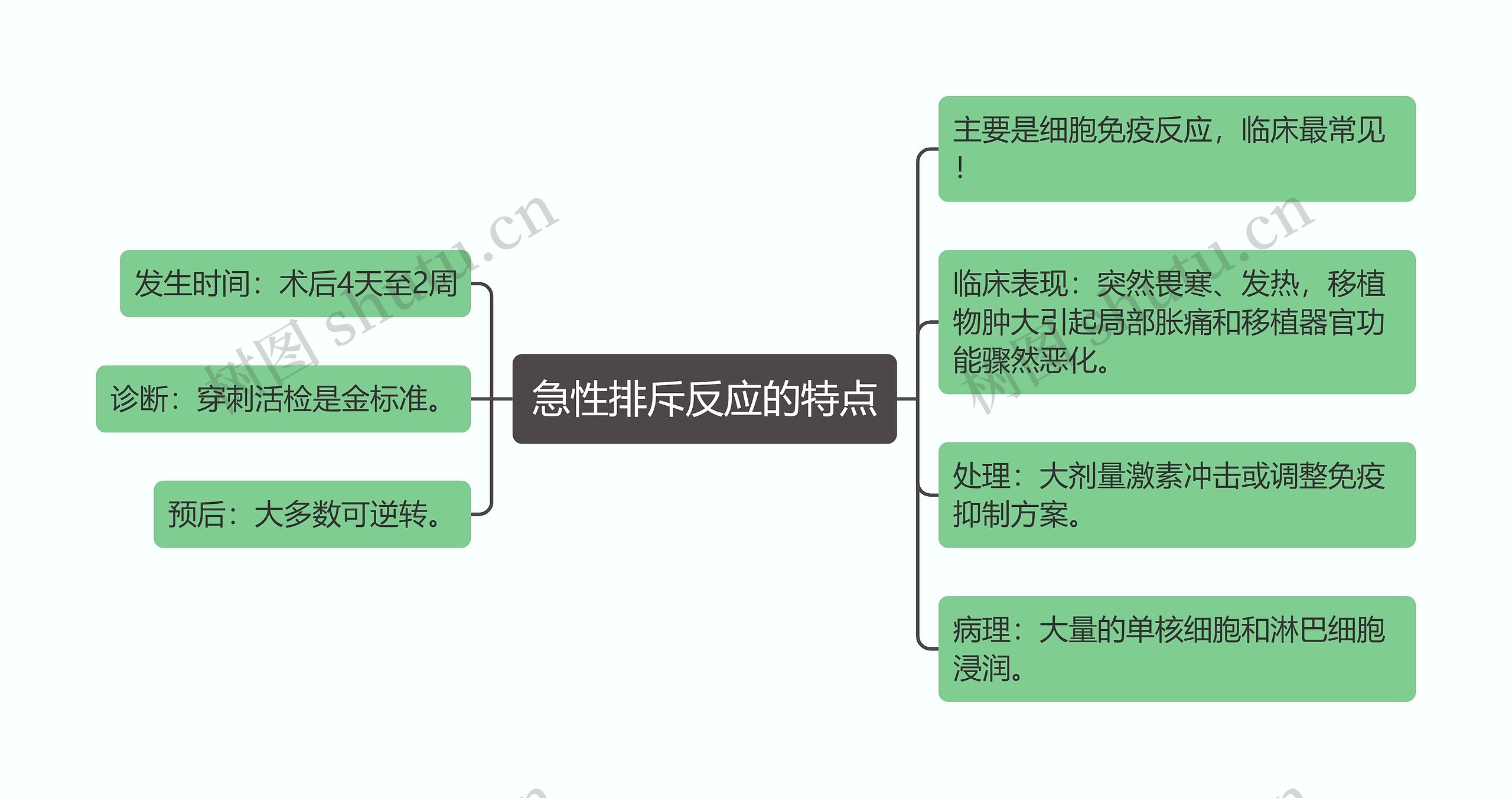 急性排斥反应的特点思维导图