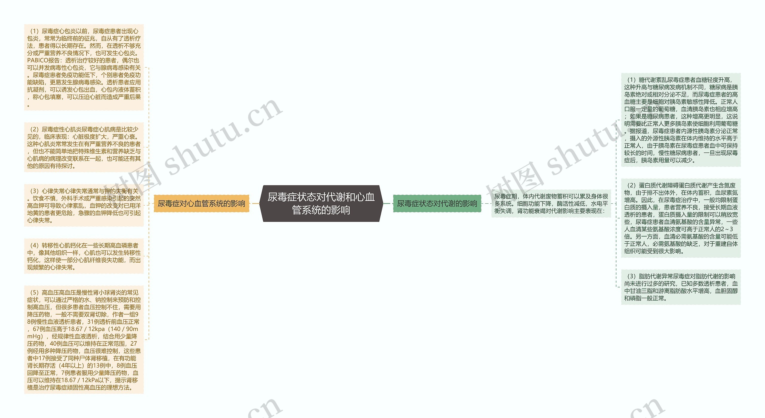 尿毒症状态对代谢和心血管系统的影响思维导图