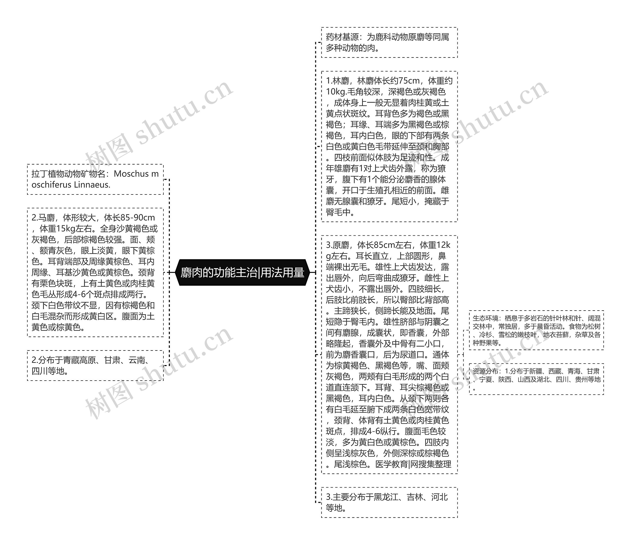 麝肉的功能主治|用法用量思维导图