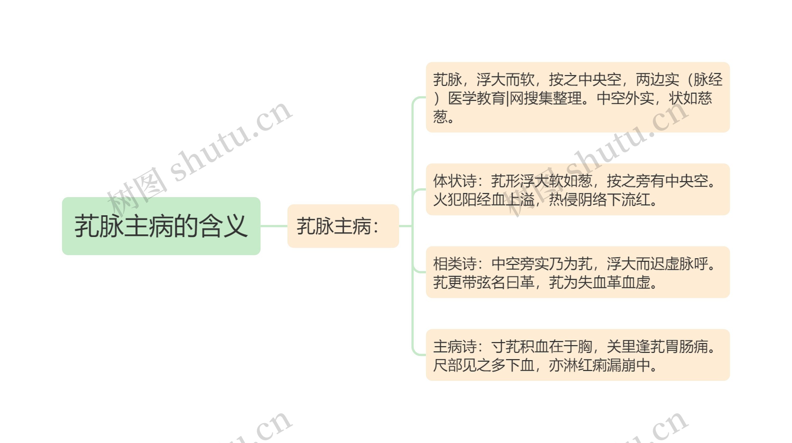 芤脉主病的含义