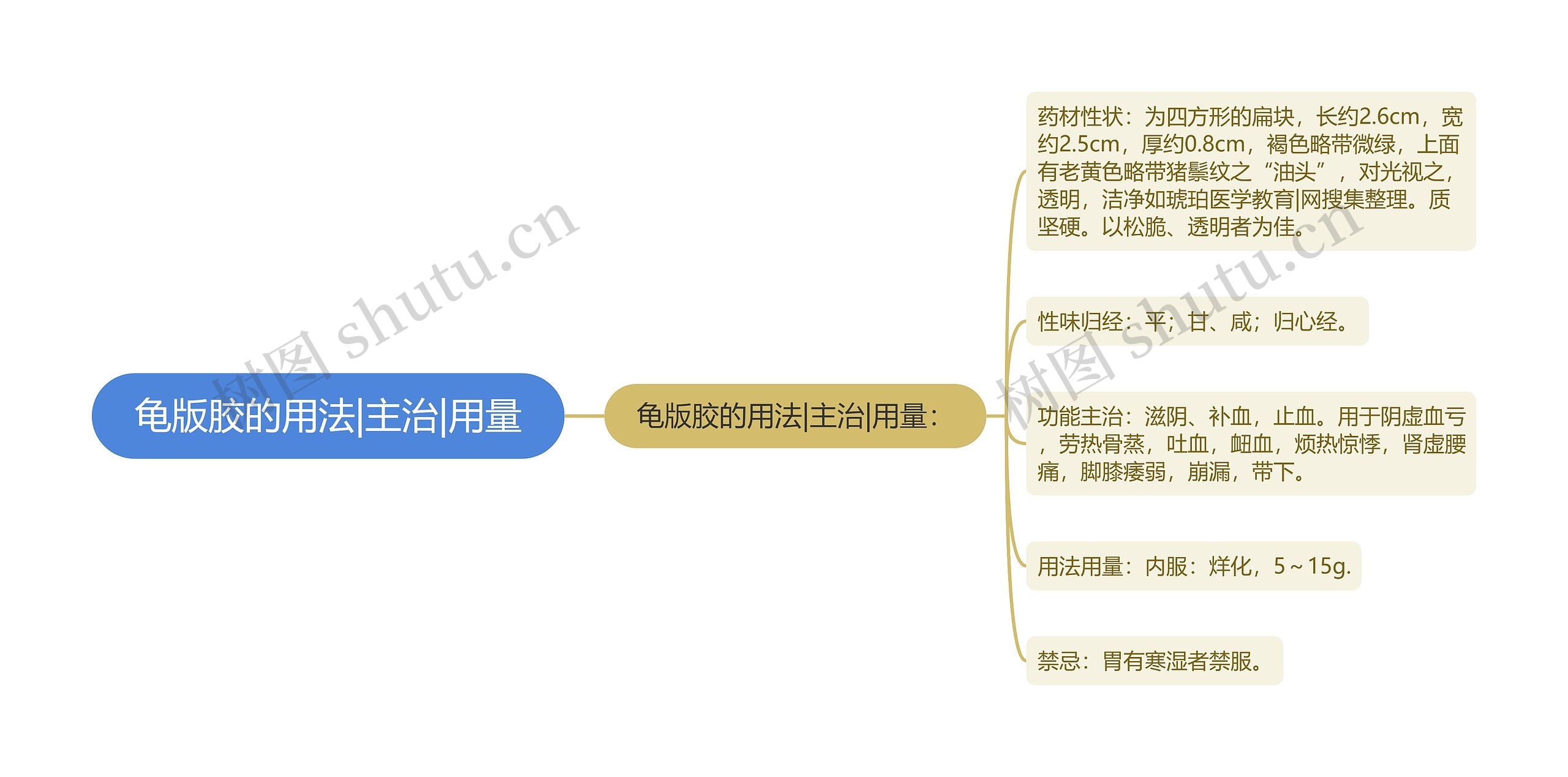 龟版胶的用法|主治|用量思维导图