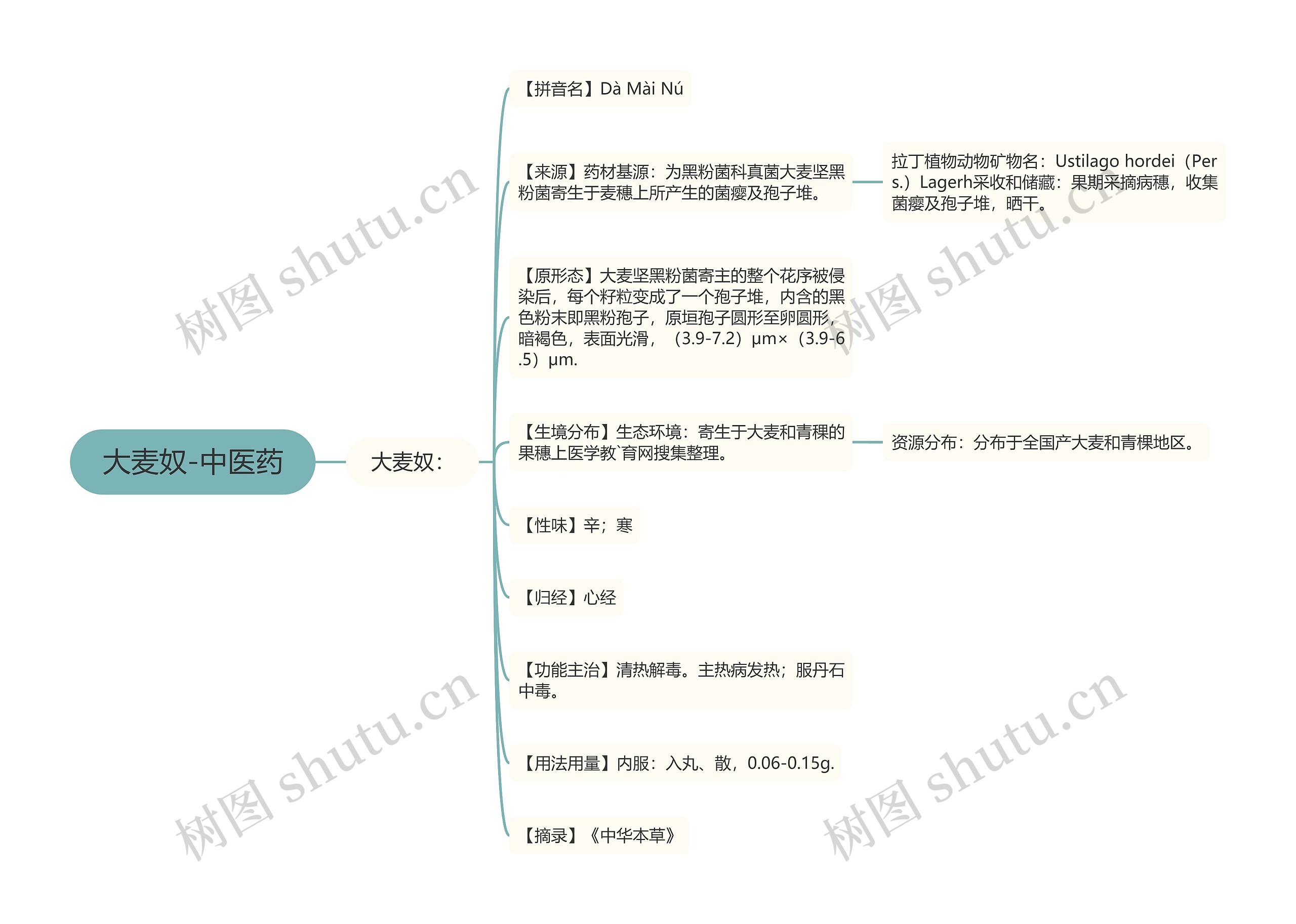 大麦奴-中医药思维导图