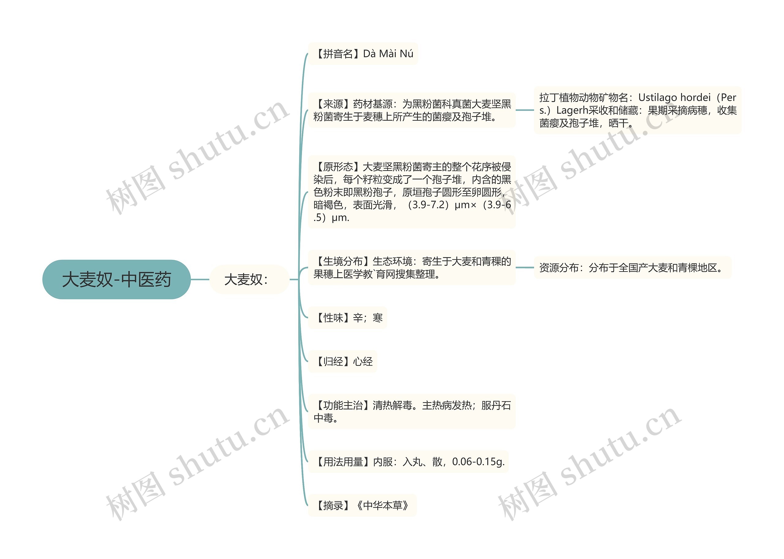 大麦奴-中医药 大麦奴-中医药