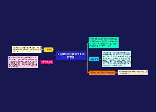 牙周组织与牙髓解剖通道有哪些