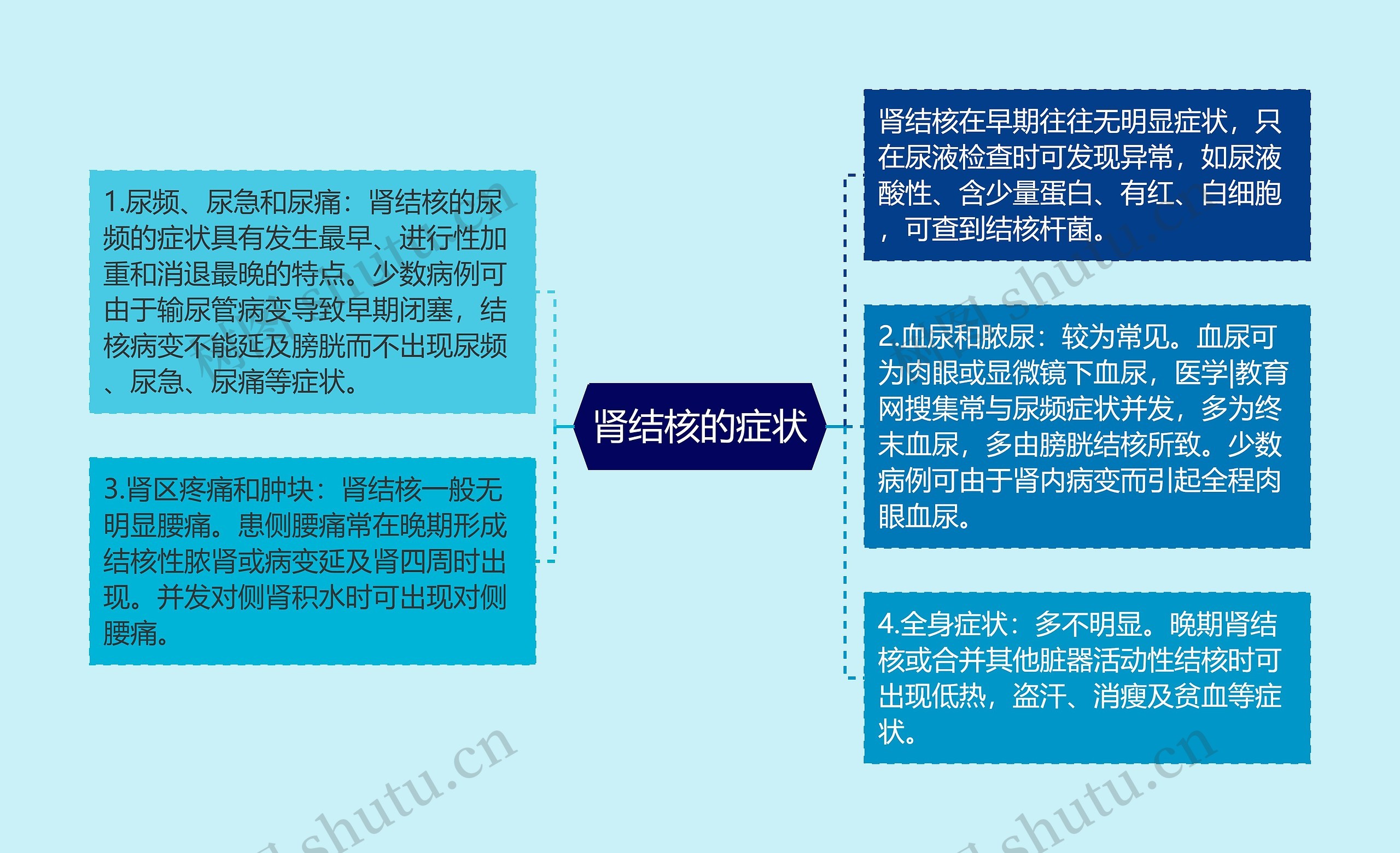 肾结核的症状 肾结核的症状