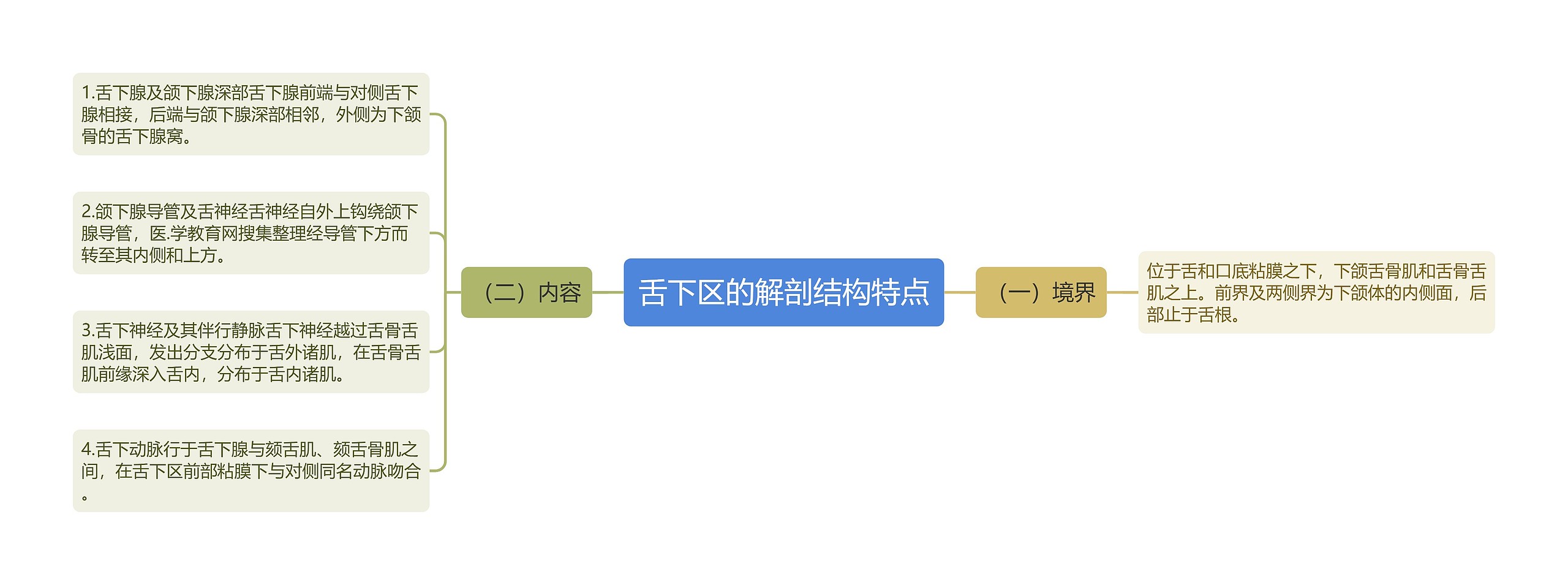 舌下区的解剖结构特点思维导图