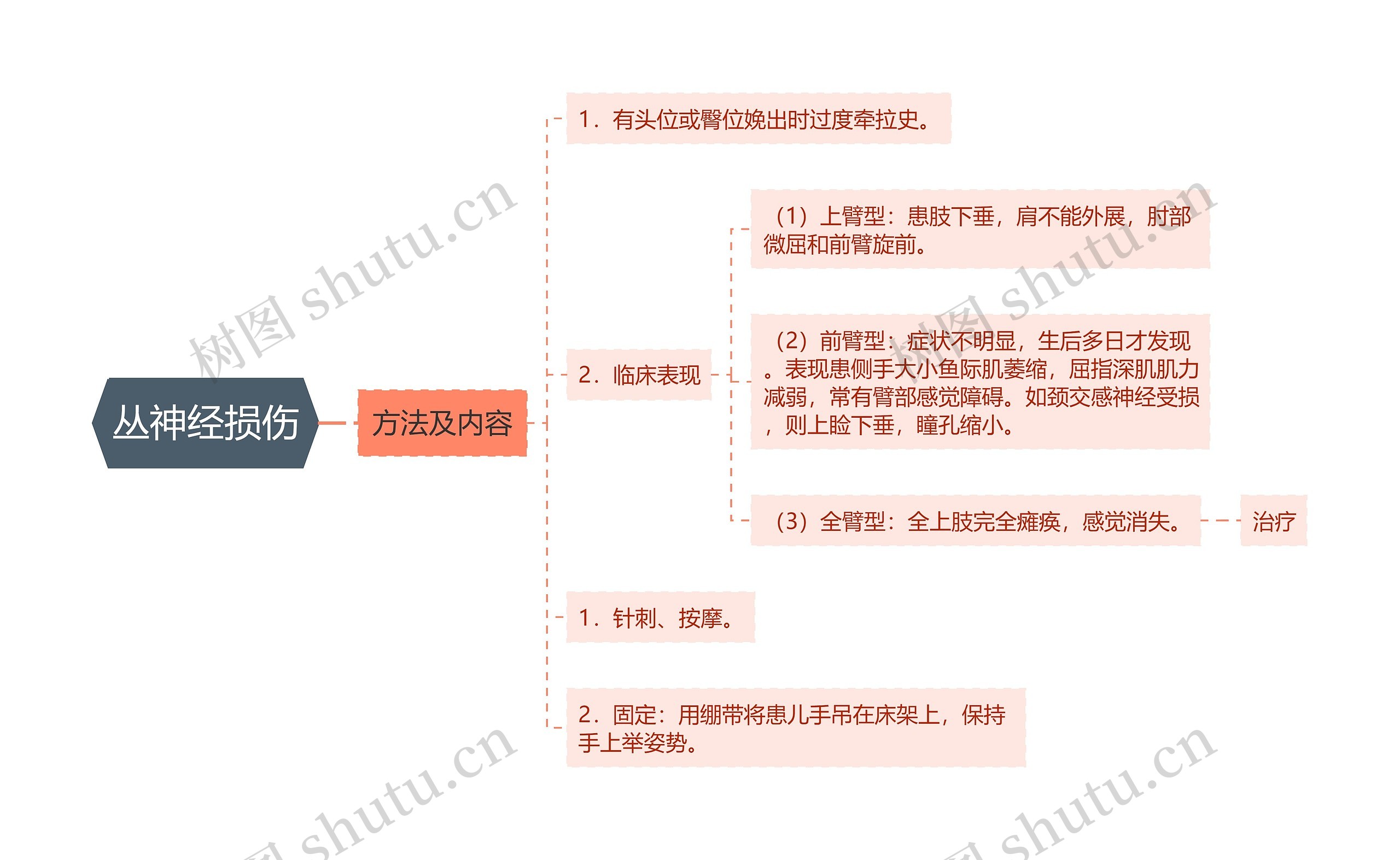 丛神经损伤思维导图