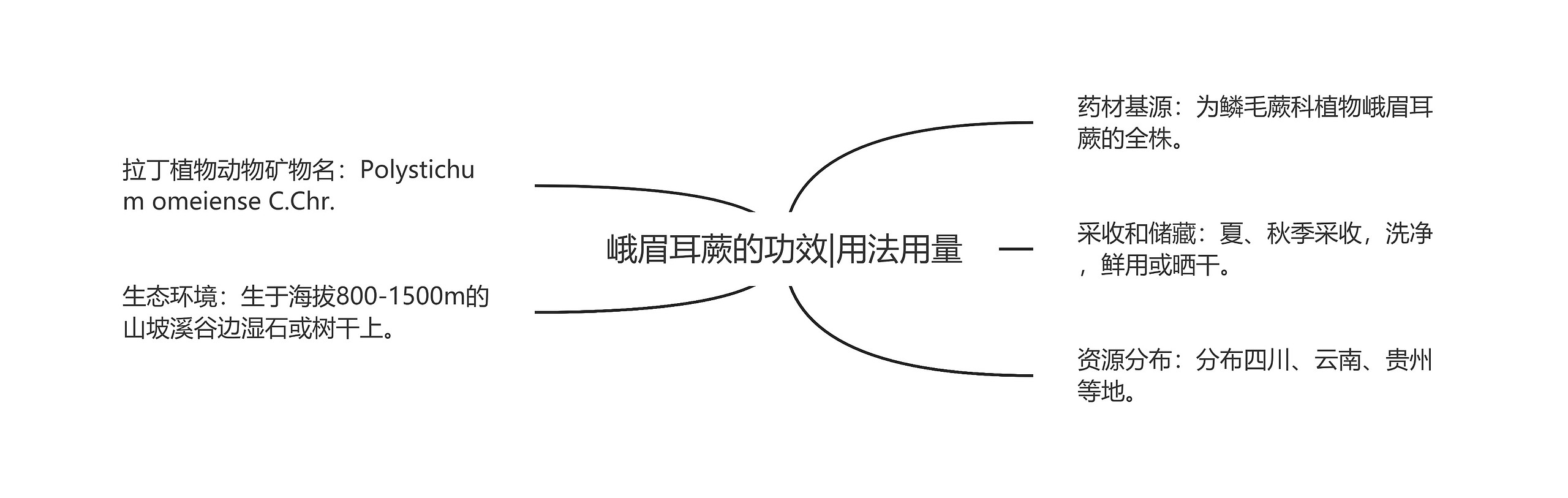 峨眉耳蕨的功效|用法用量思维导图