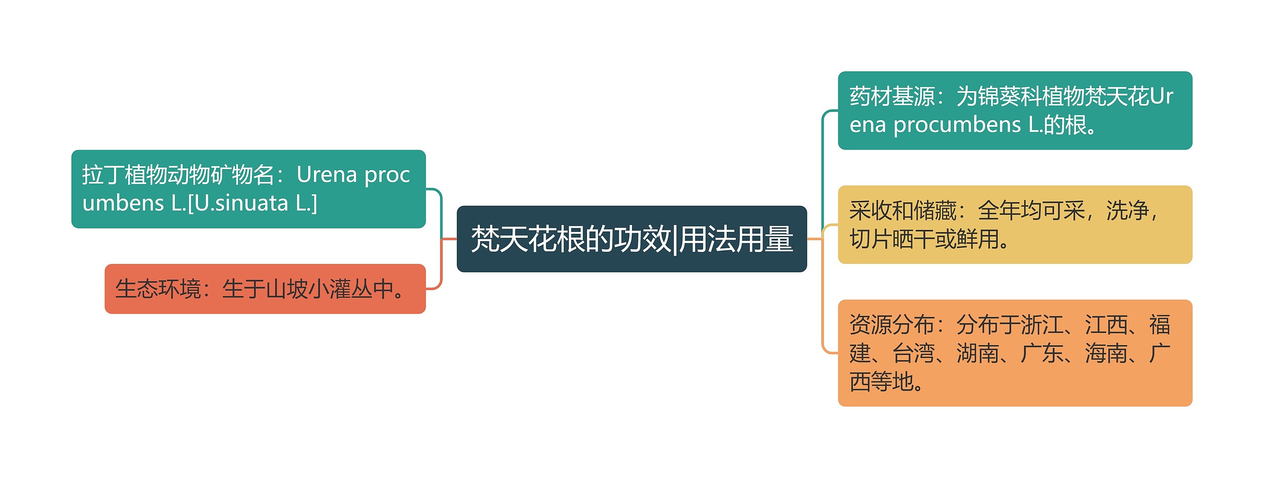 梵天花根的功效|用法用量思维导图