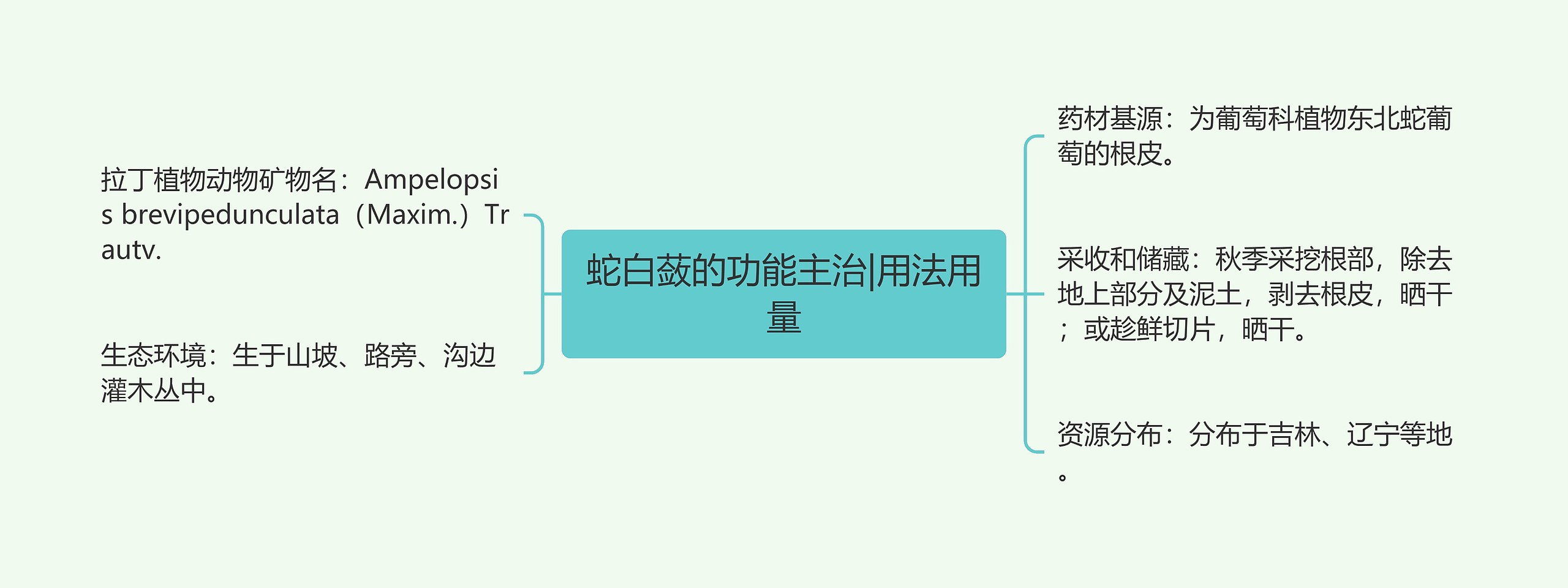 蛇白蔹的功能主治|用法用量